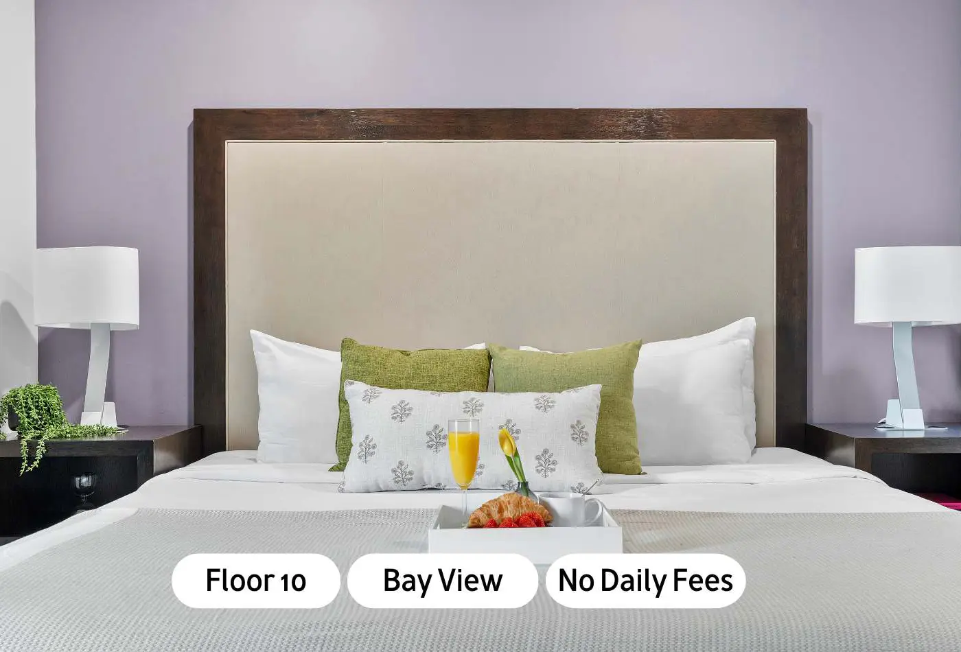 Modern Ocean View Apartment | Coconut Grove Base