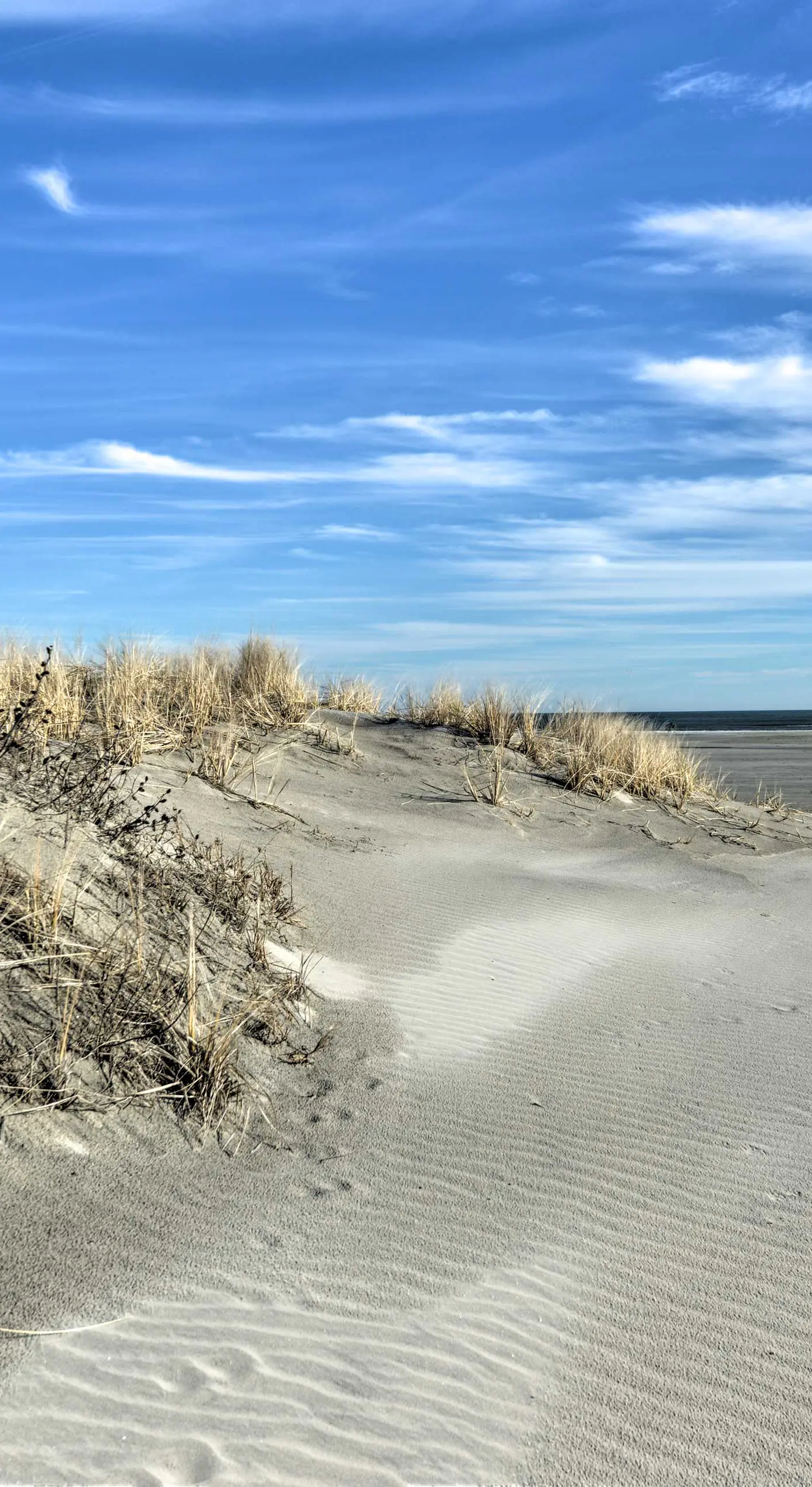 Remodeled Condo Right on Wildwood Crest Beach!
