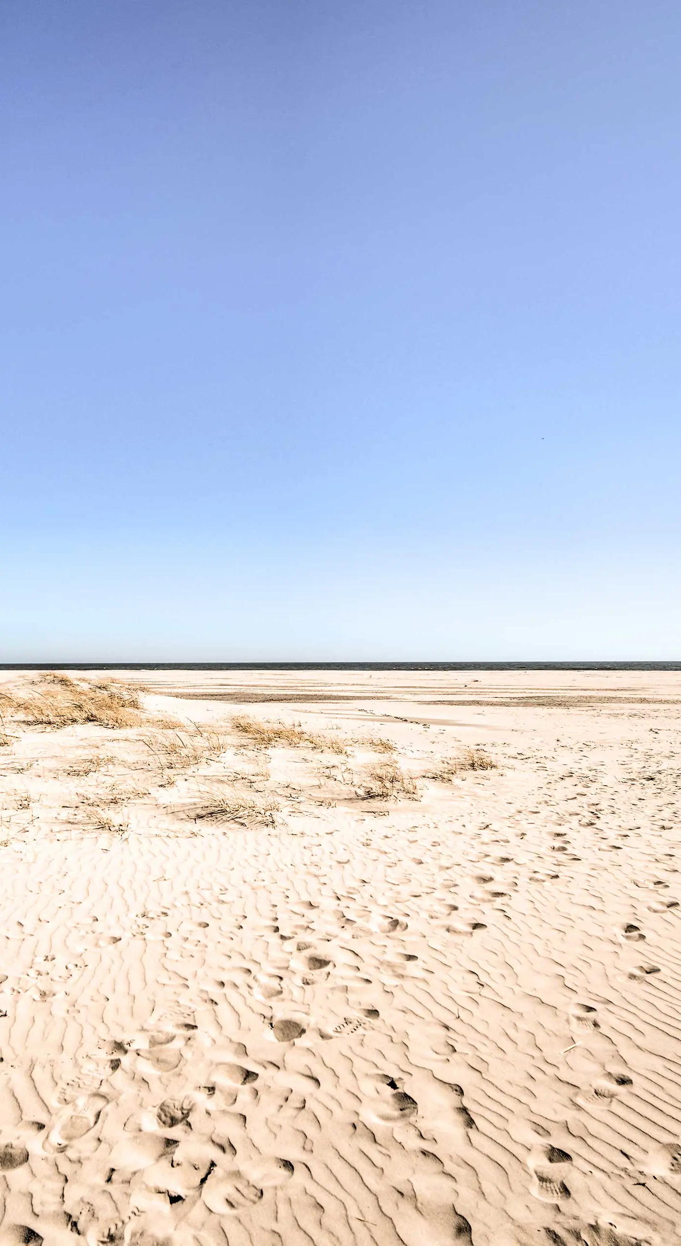Steps to Brigantine Beach: New Jersey Beach Condo