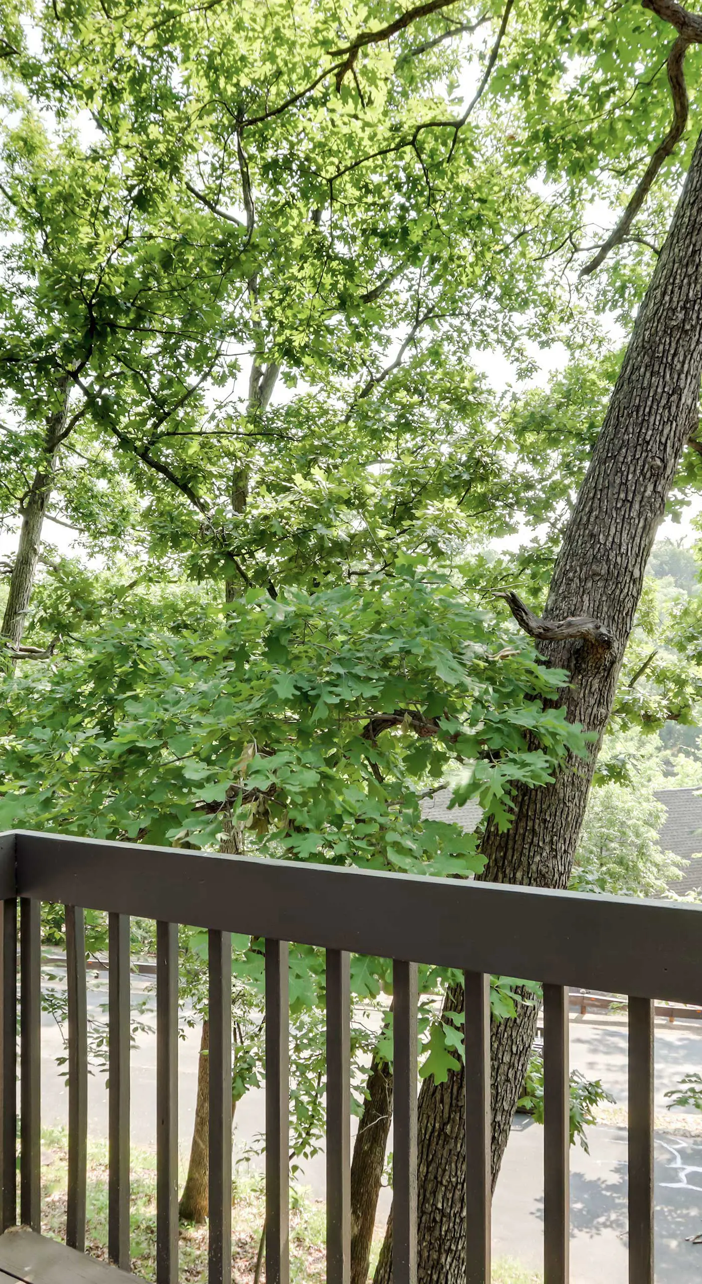 Families w/ Pets! Lake-View Osage Beach Home
