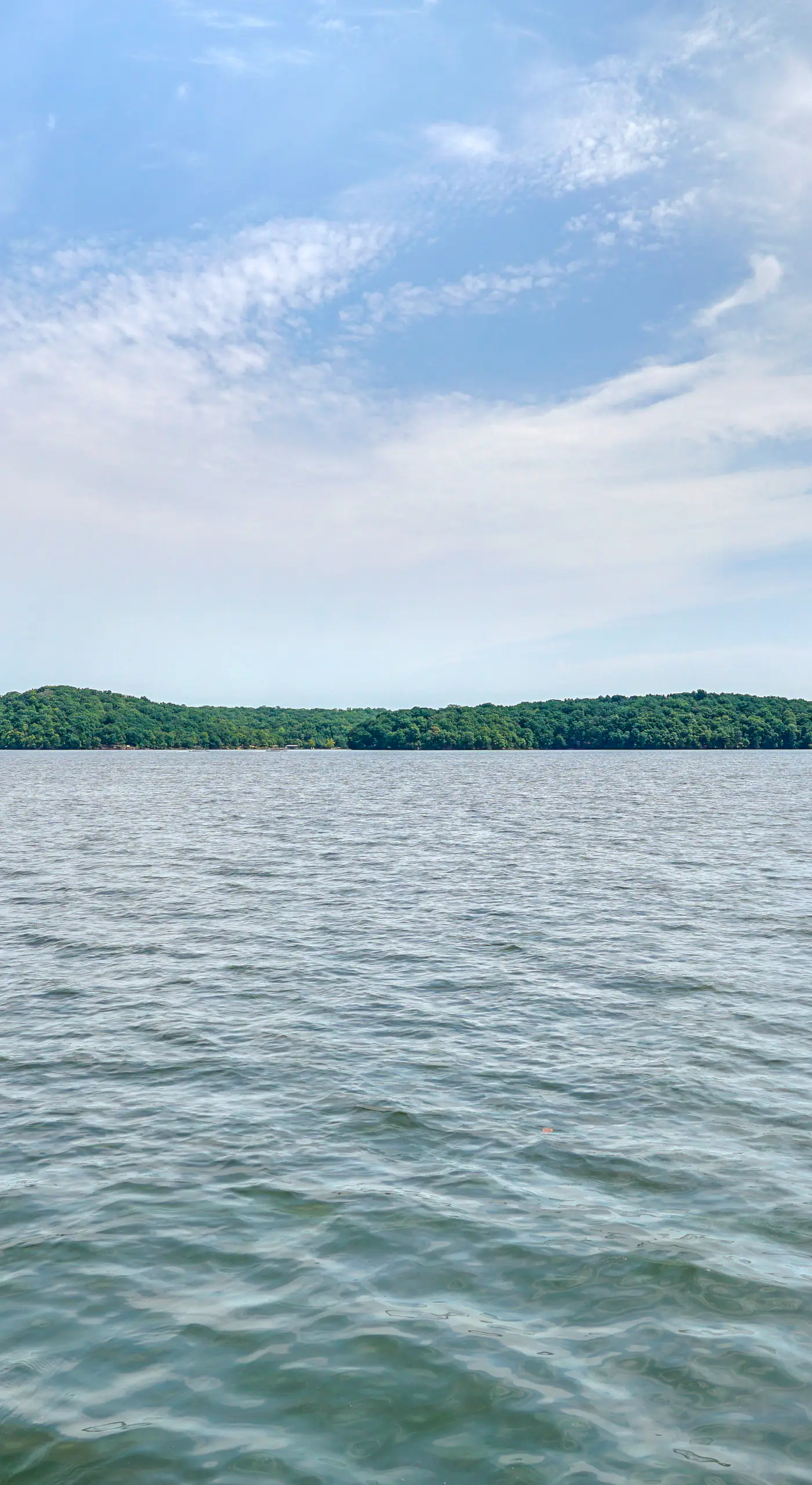 Pet-Friendly Lake of the Ozarks Gem!