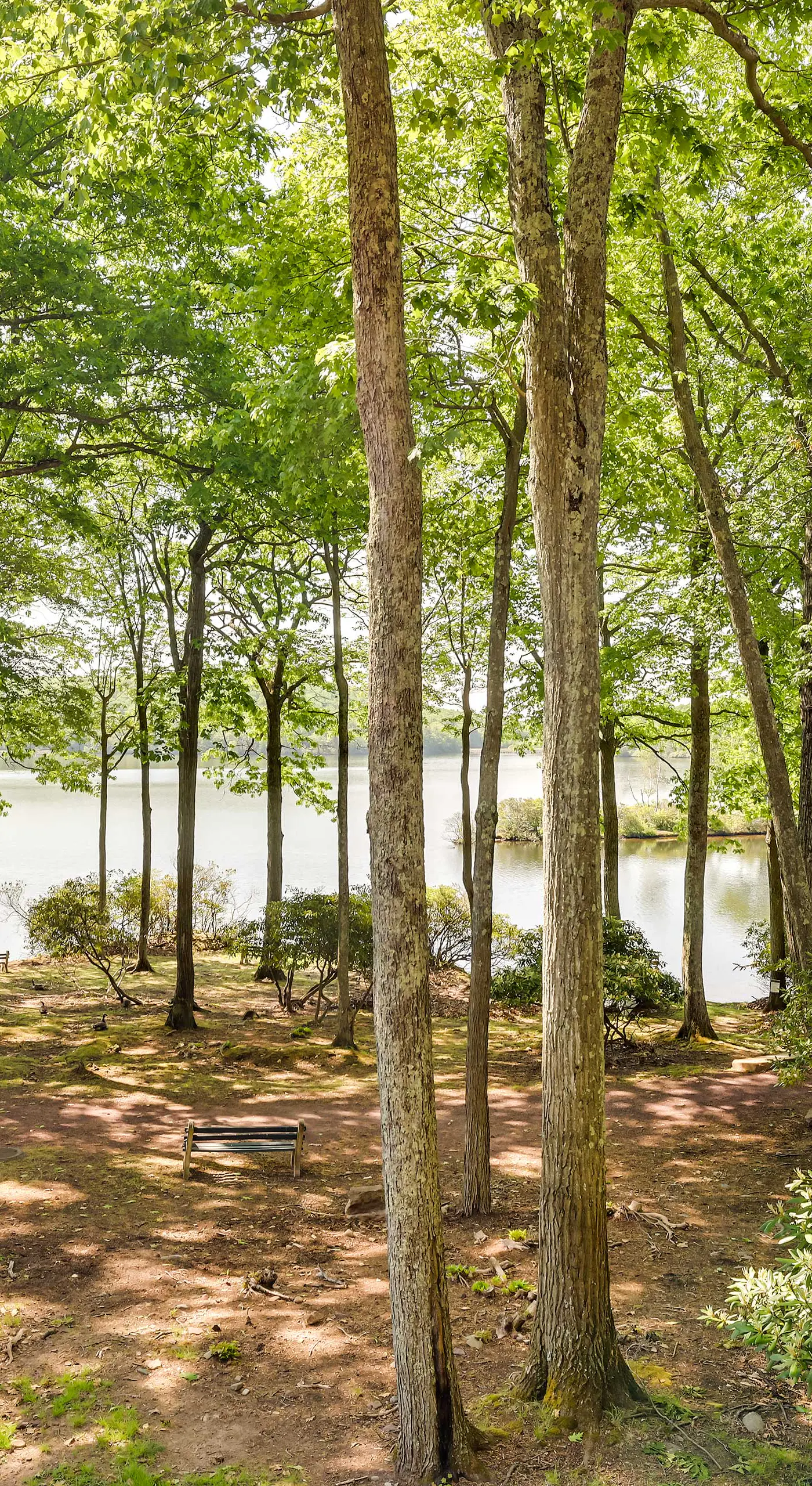 1 Mi to Big Boulder: Lakefront Unit w/ Pool Access