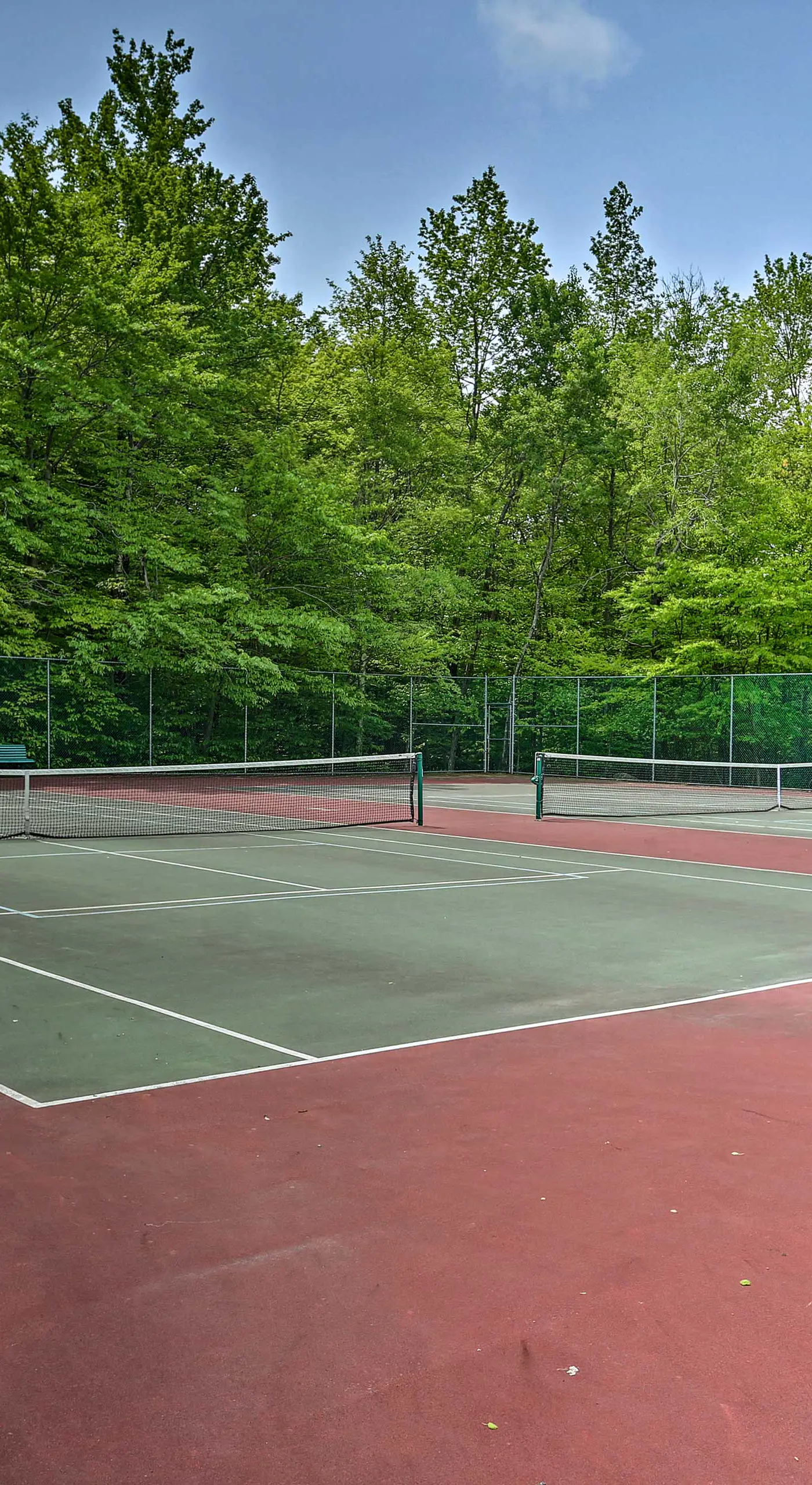 Deck & Resort Amenities: Arrowhead Lake Home!