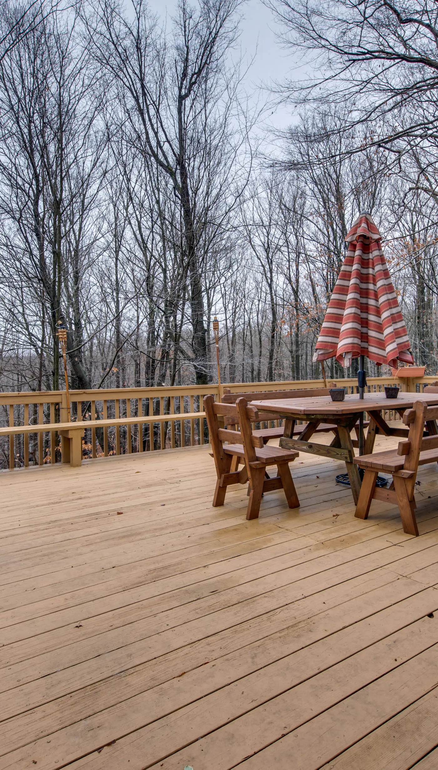 Fire Pit + Community Perks: Gouldsboro Cabin!
