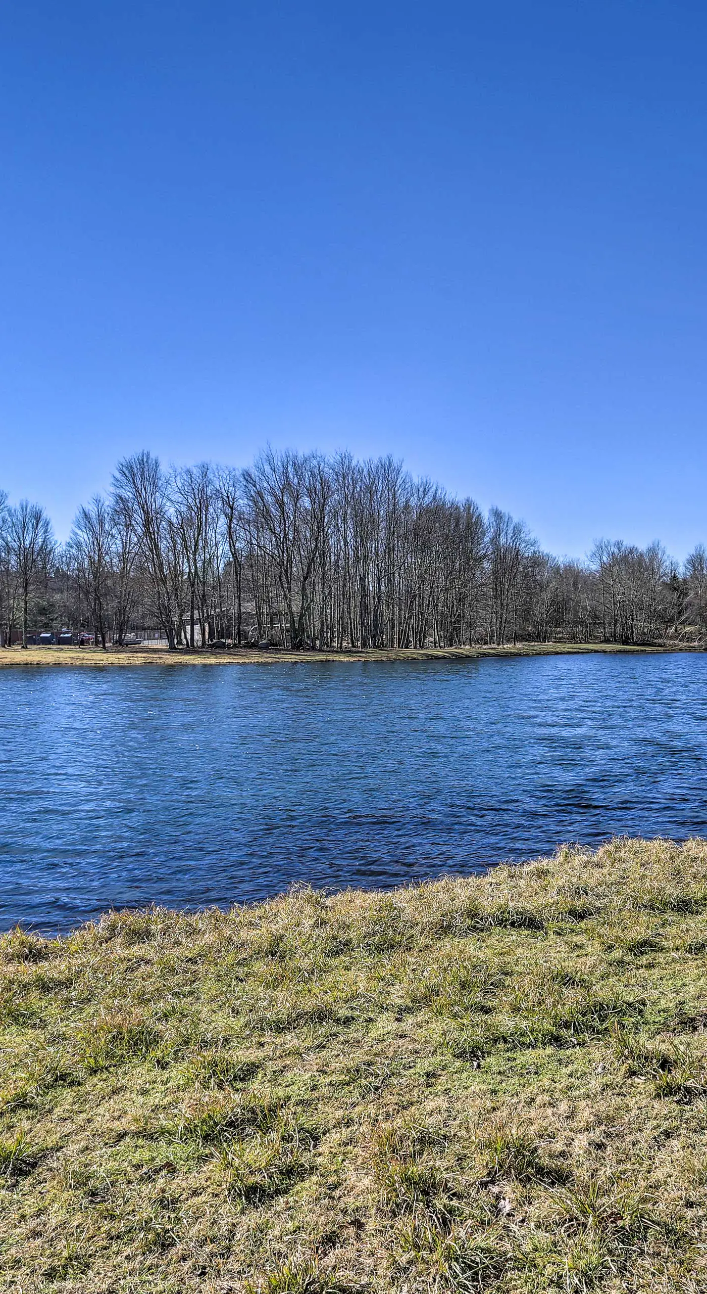 Secluded Family Cabin w/ Fire Pit in Lake Ariel!
