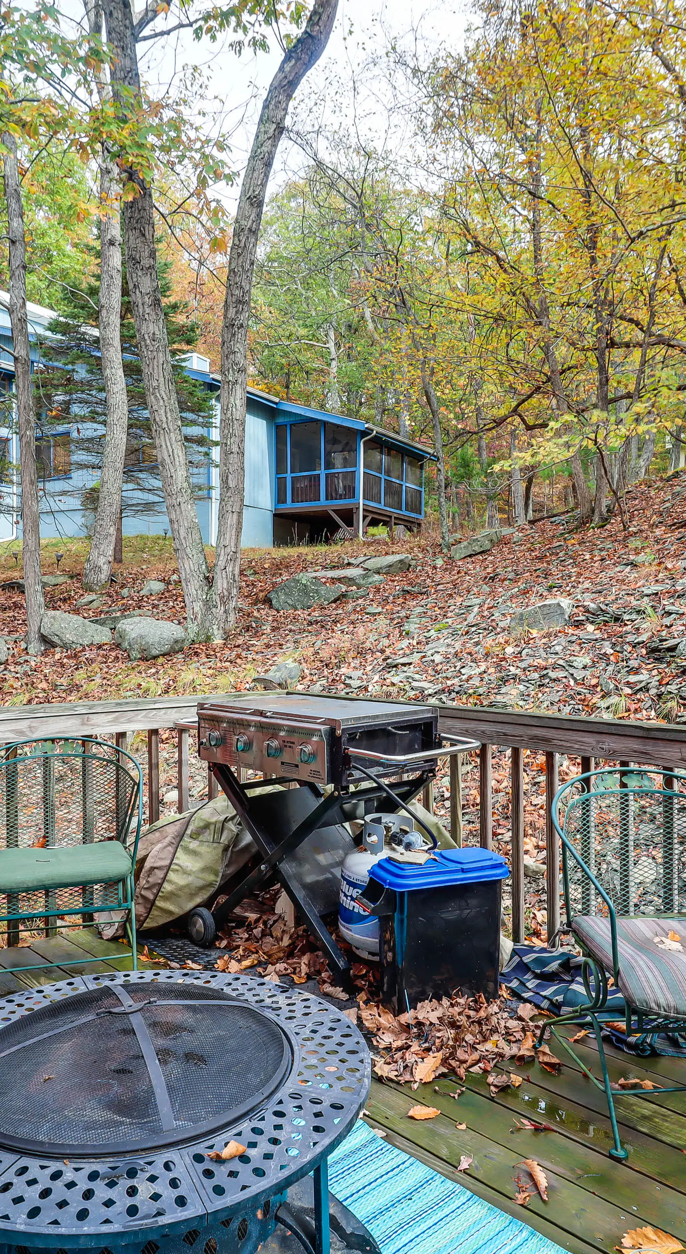Fire Pit & Gas Grill: Charming Poconos Abode!