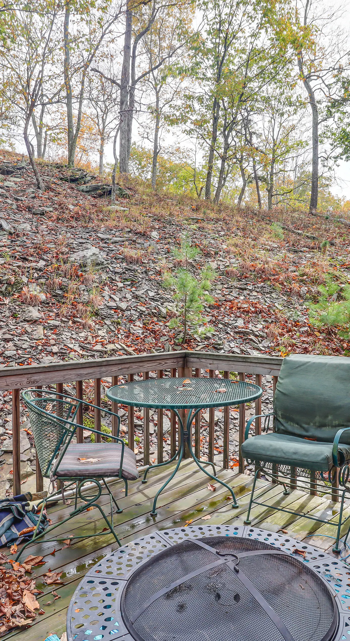 Fire Pit & Gas Grill: Charming Poconos Abode!