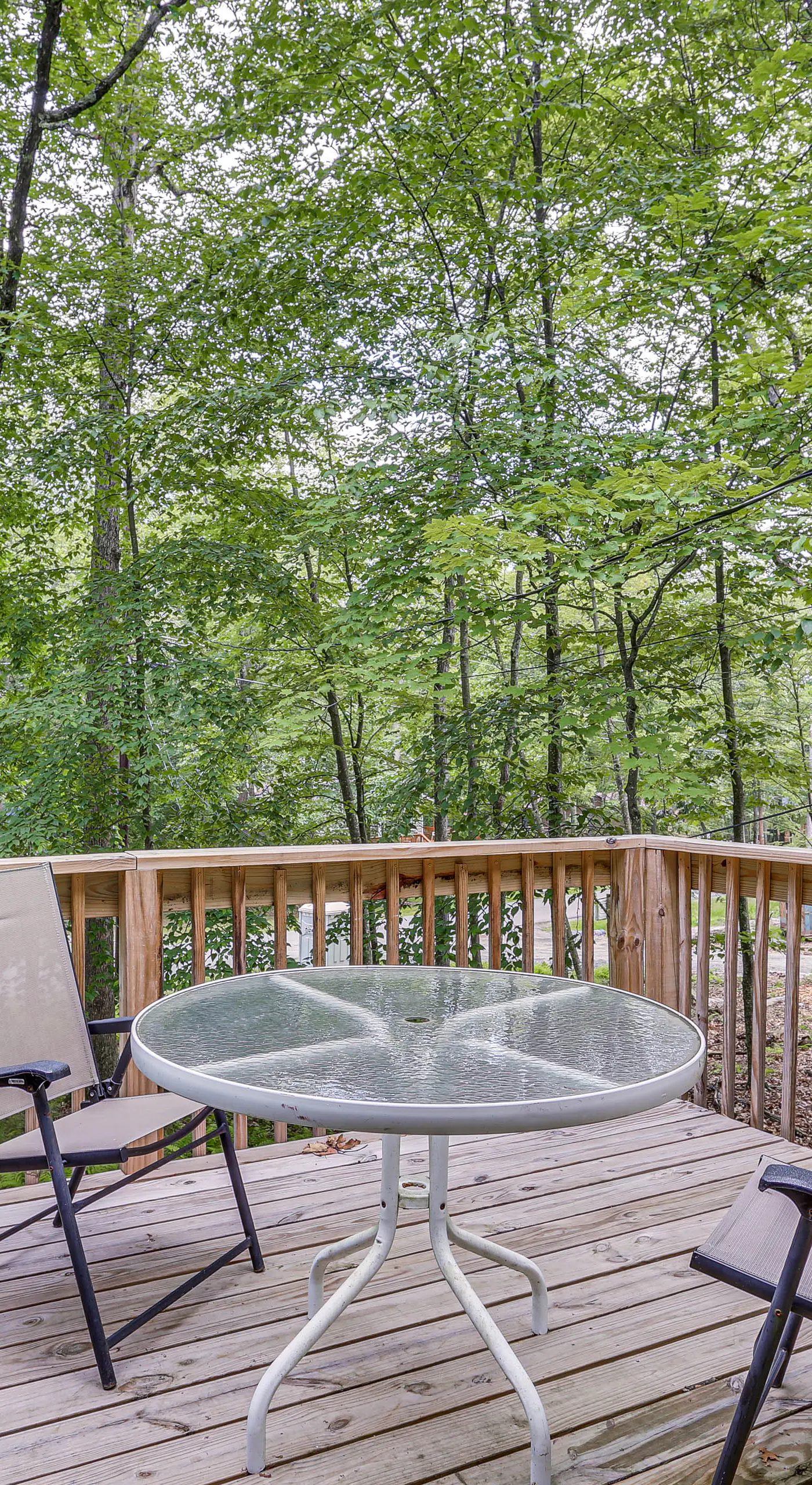 Screened Porch & Deck: Pet-Friendly Poconos Escape