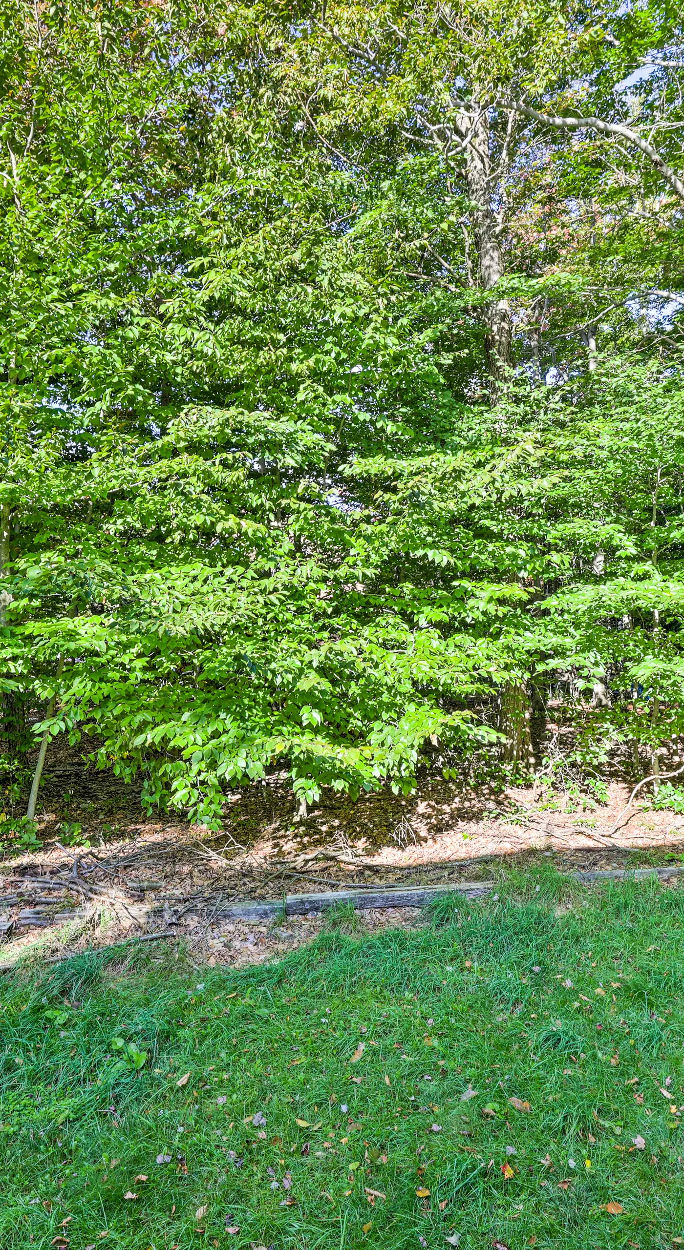 Deck & Backyard: Tobyhanna Family Home