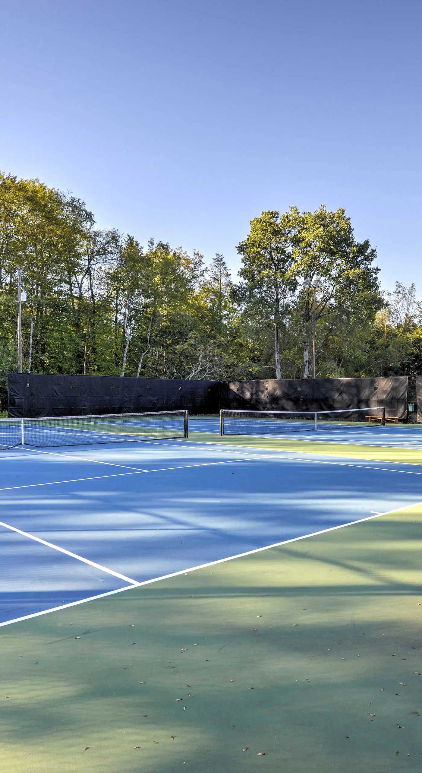 Large Deck + Resort Amenities: Lake Ariel Retreat