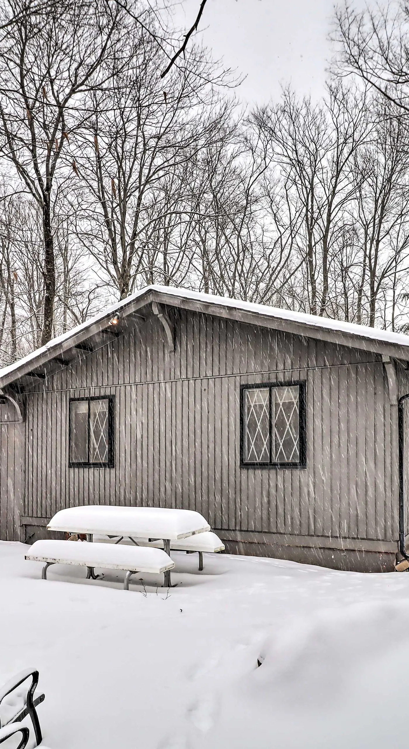 Near Skiing: Pocono Lake Cabin w/ Screened Patio