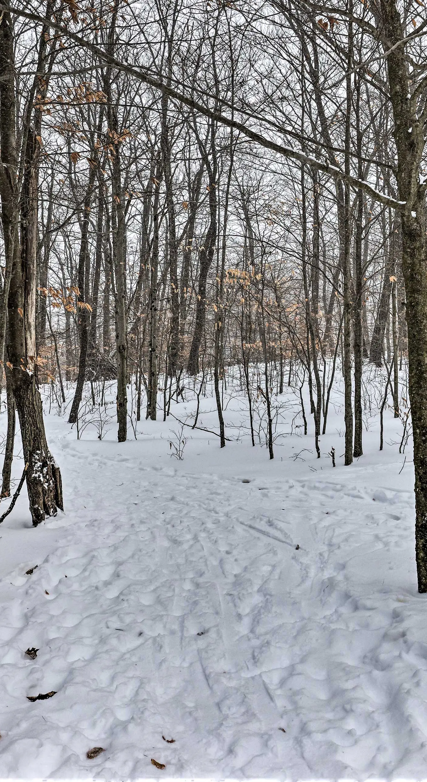 < 1 Mi to Jack Frost: Lake Harmony Townhome!