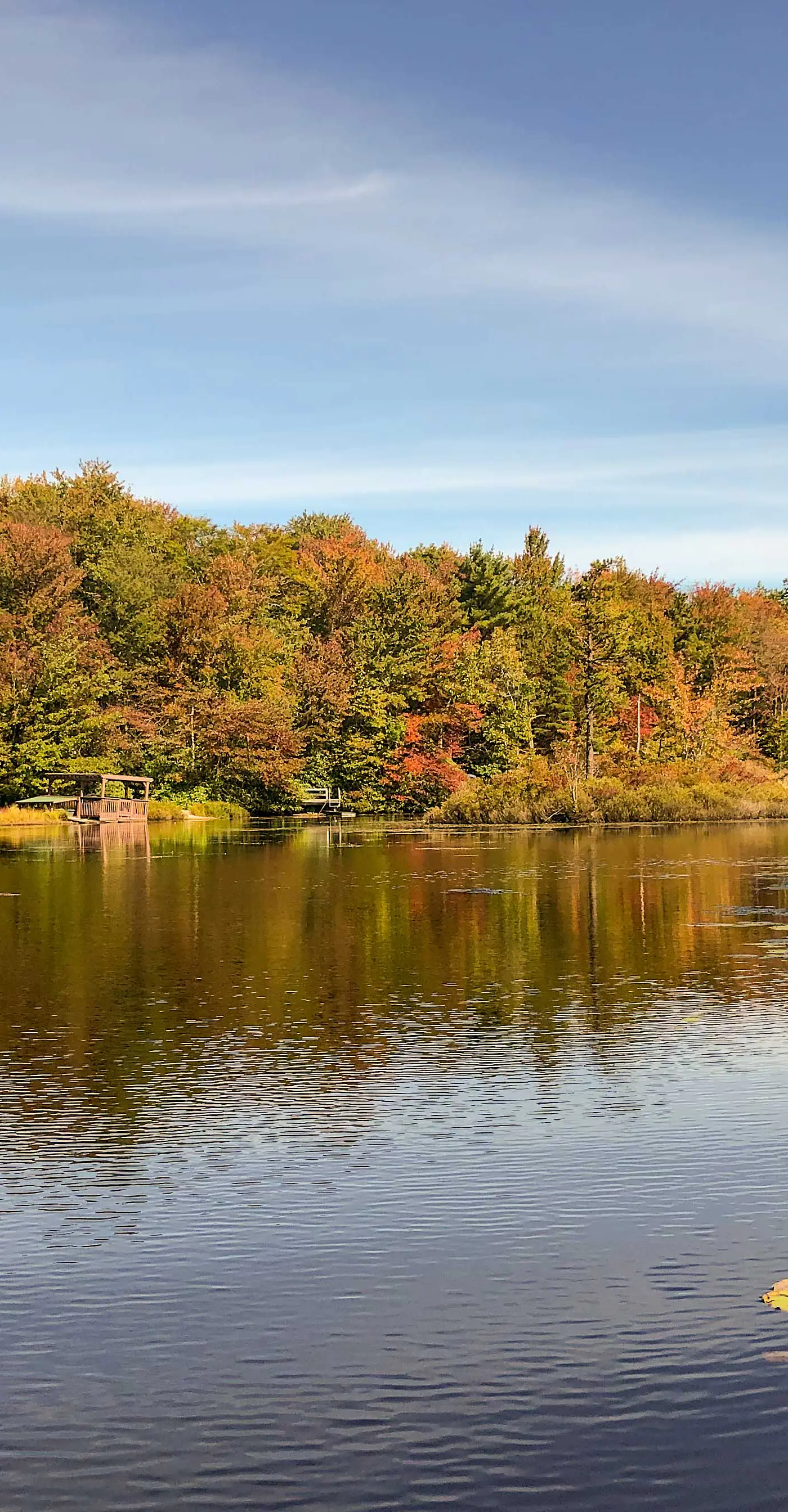 Private Spa, Fire Pit & Deck: Poconos Home!