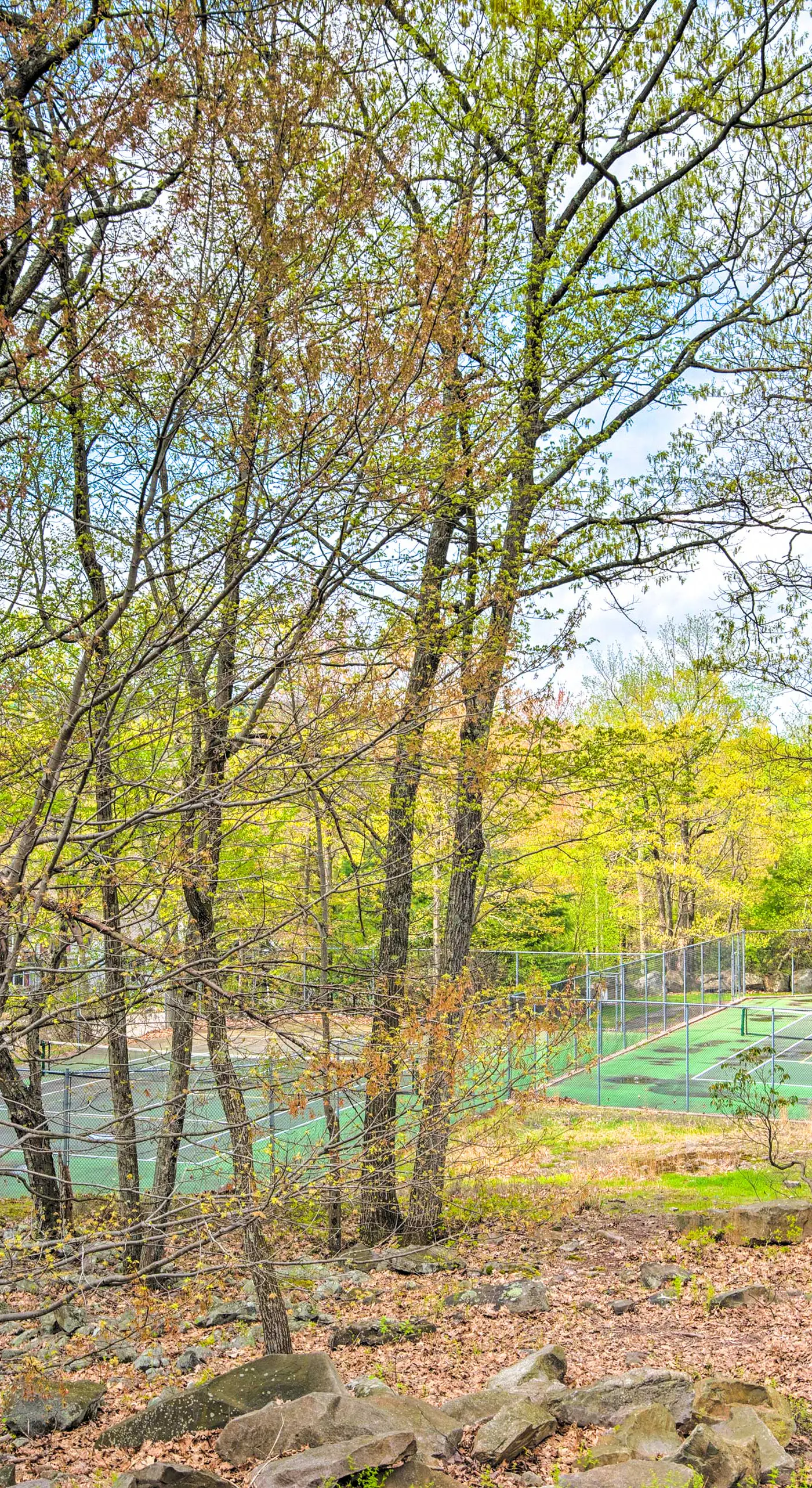 Community Perks & Deck: Lake Harmony Townhome!