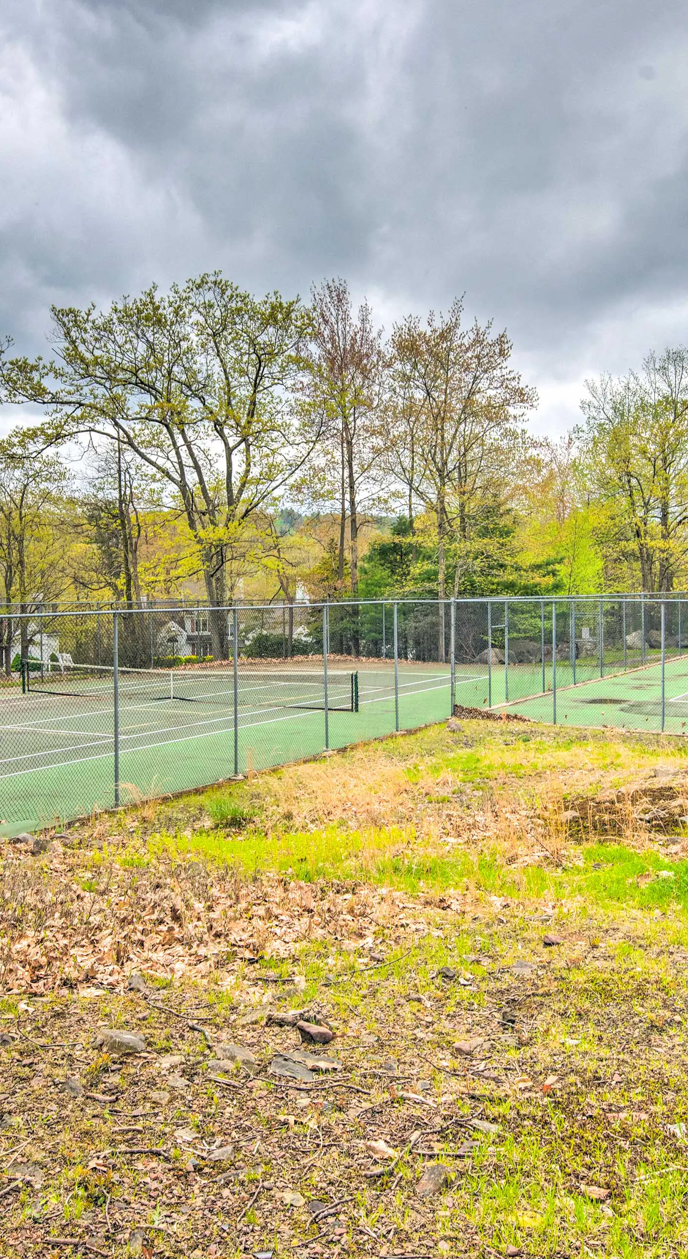 Community Perks & Deck: Lake Harmony Townhome!