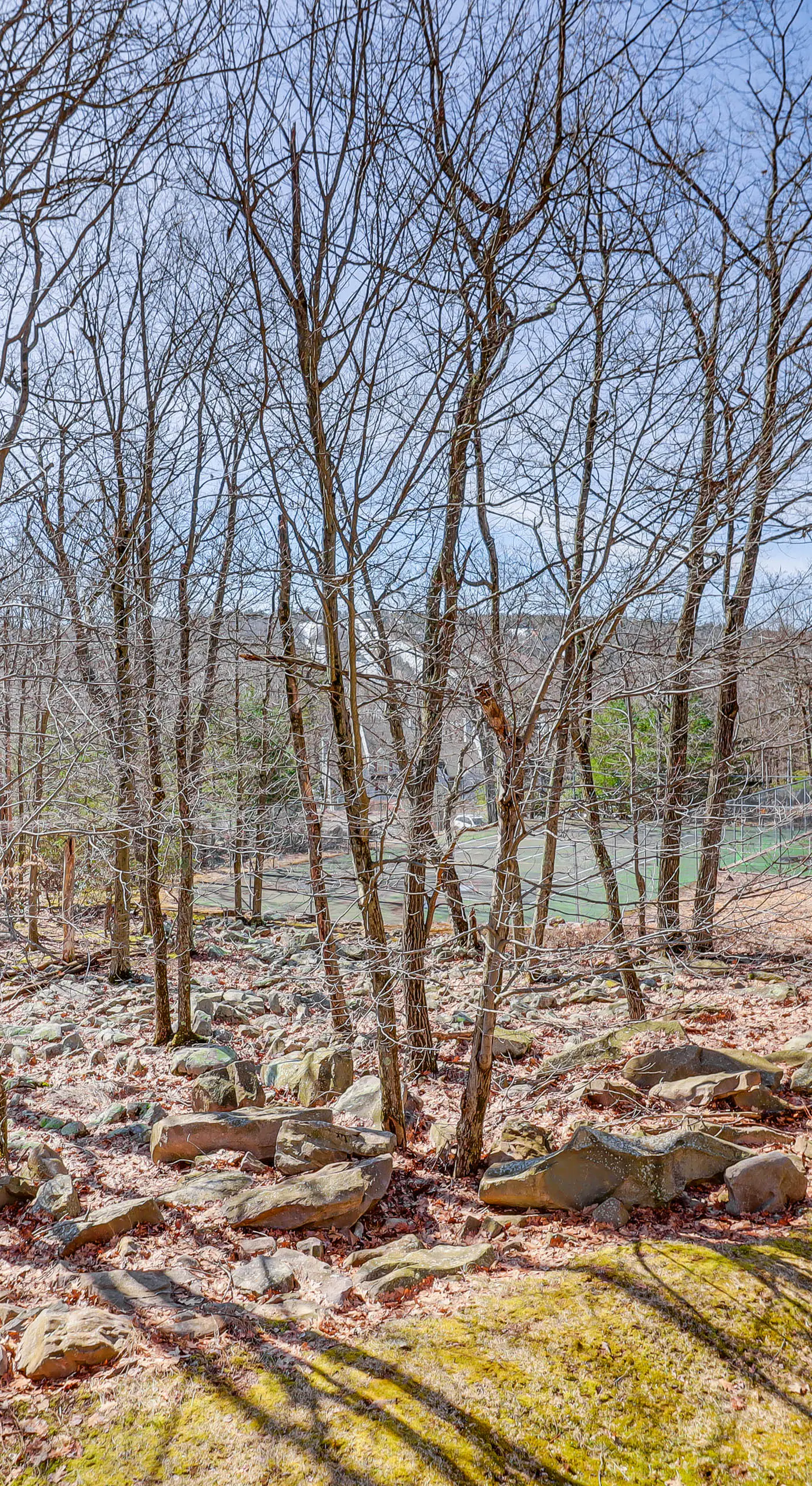 Community Perks & Deck: Lake Harmony Townhome!