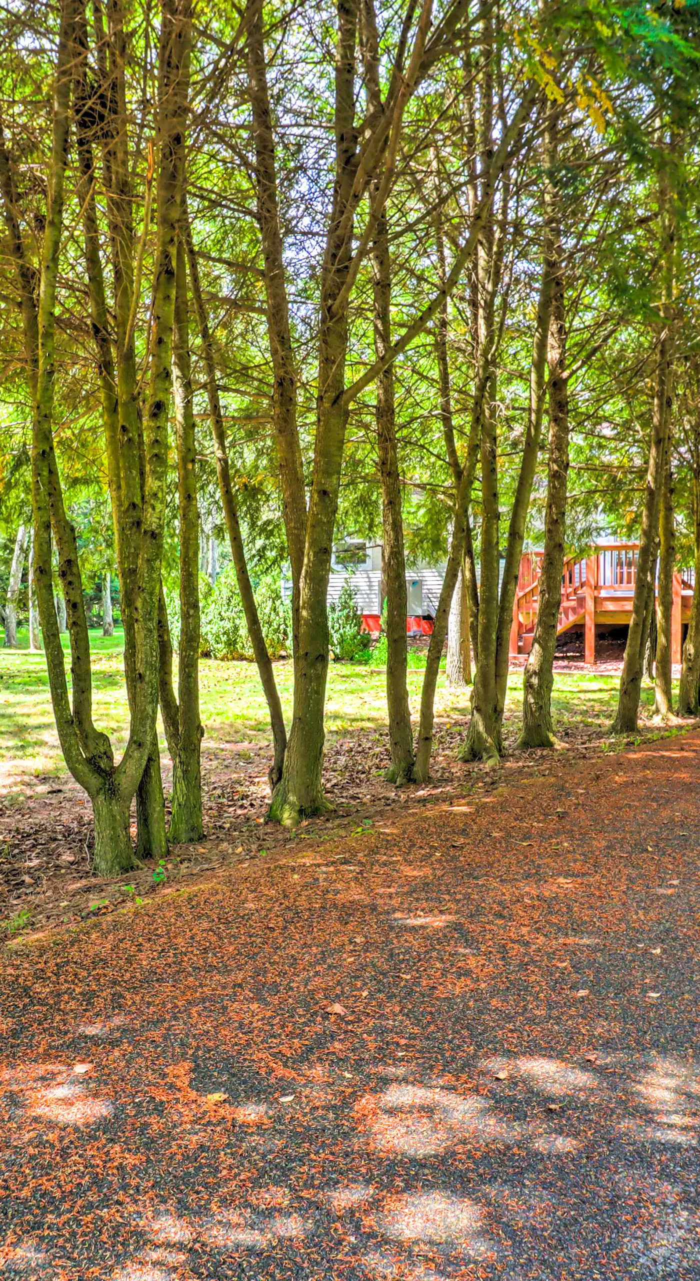 Walk to Wolf Run Lake: Cottage w/ Furnished Deck
