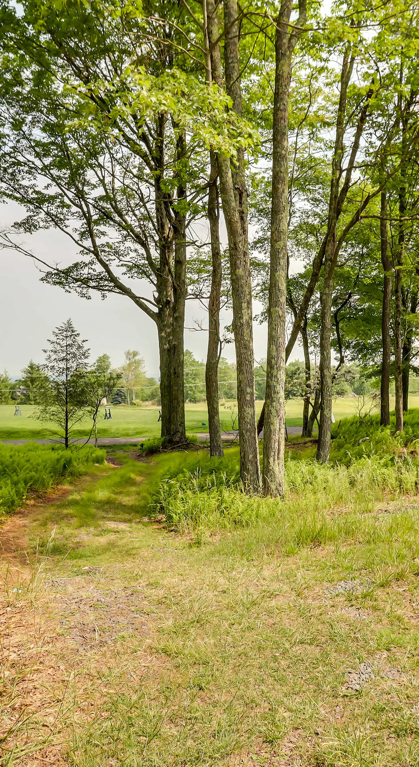 Outdoor Theater, Deck & Fire Pit: Poconos Retreat