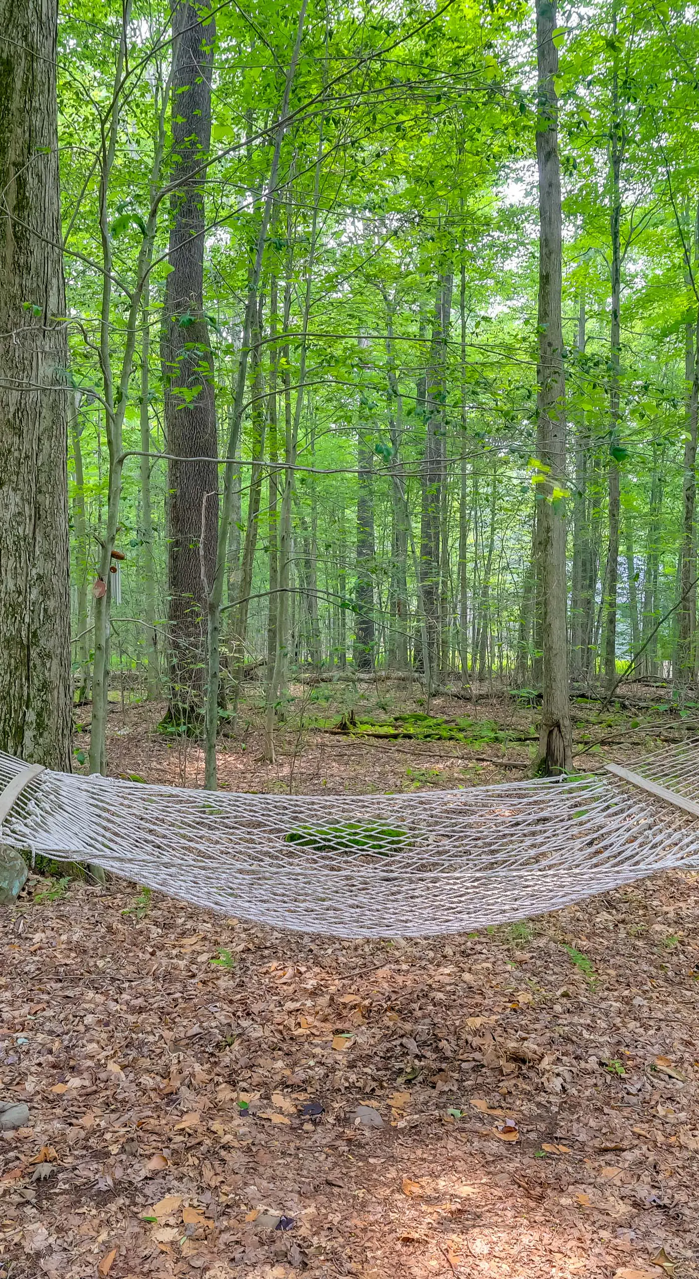 Fire Pit & Grill: 'Woodside Nest' in Pocono Lake!