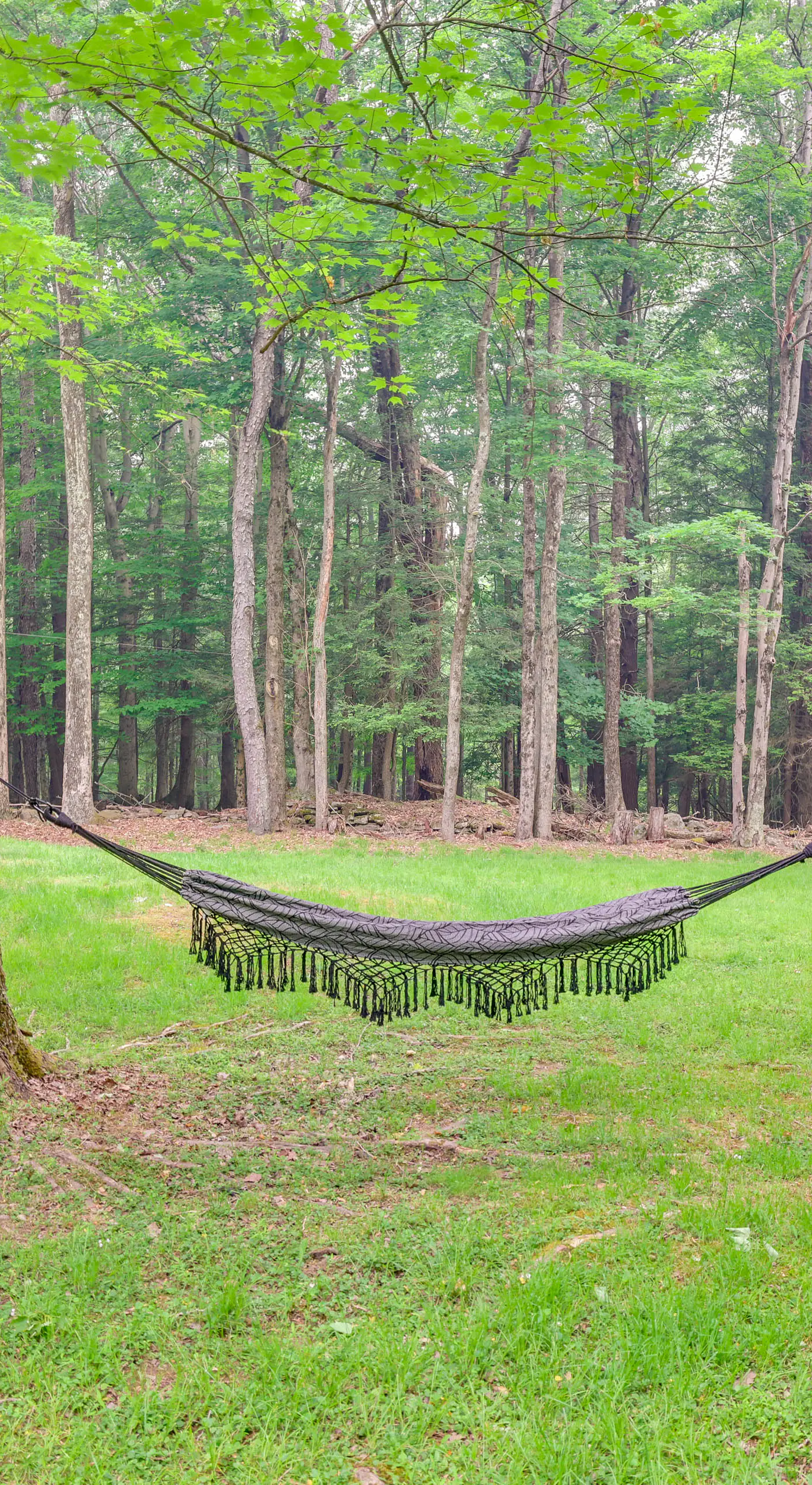 Peaceful Wooded Retreat at Lake Wallenpaupack!