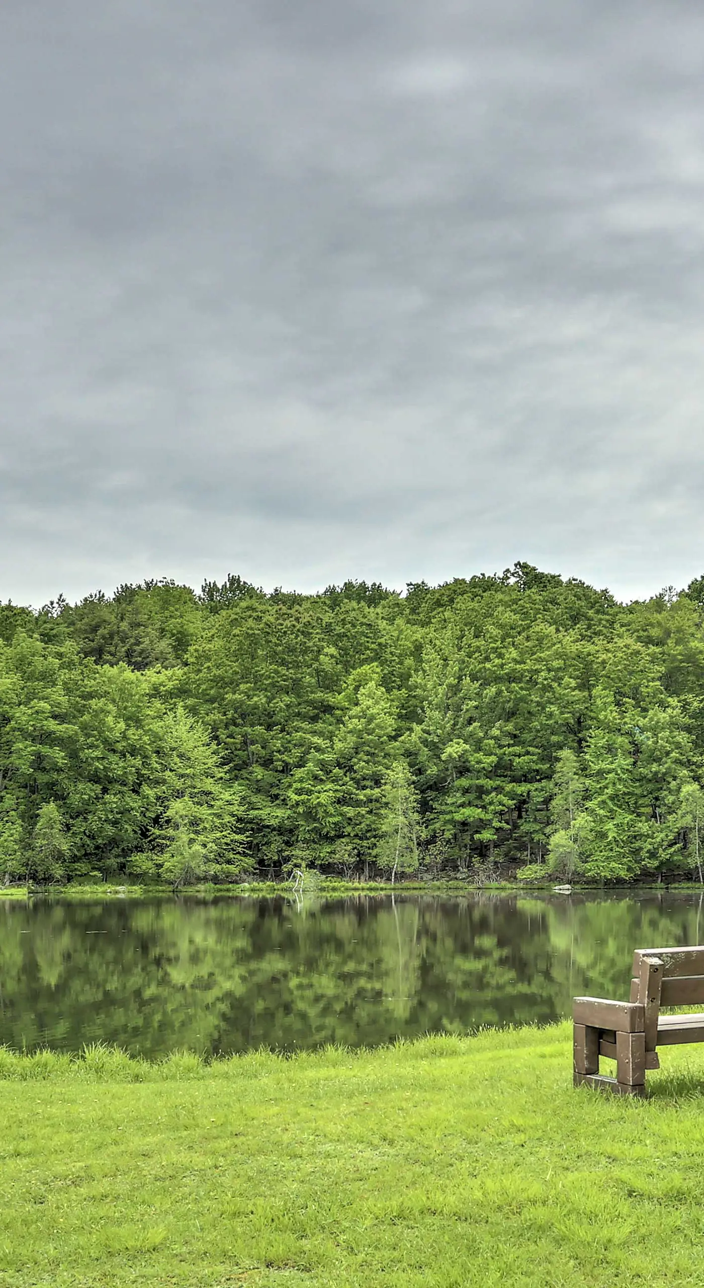 Peaceful Wooded Retreat at Lake Wallenpaupack!