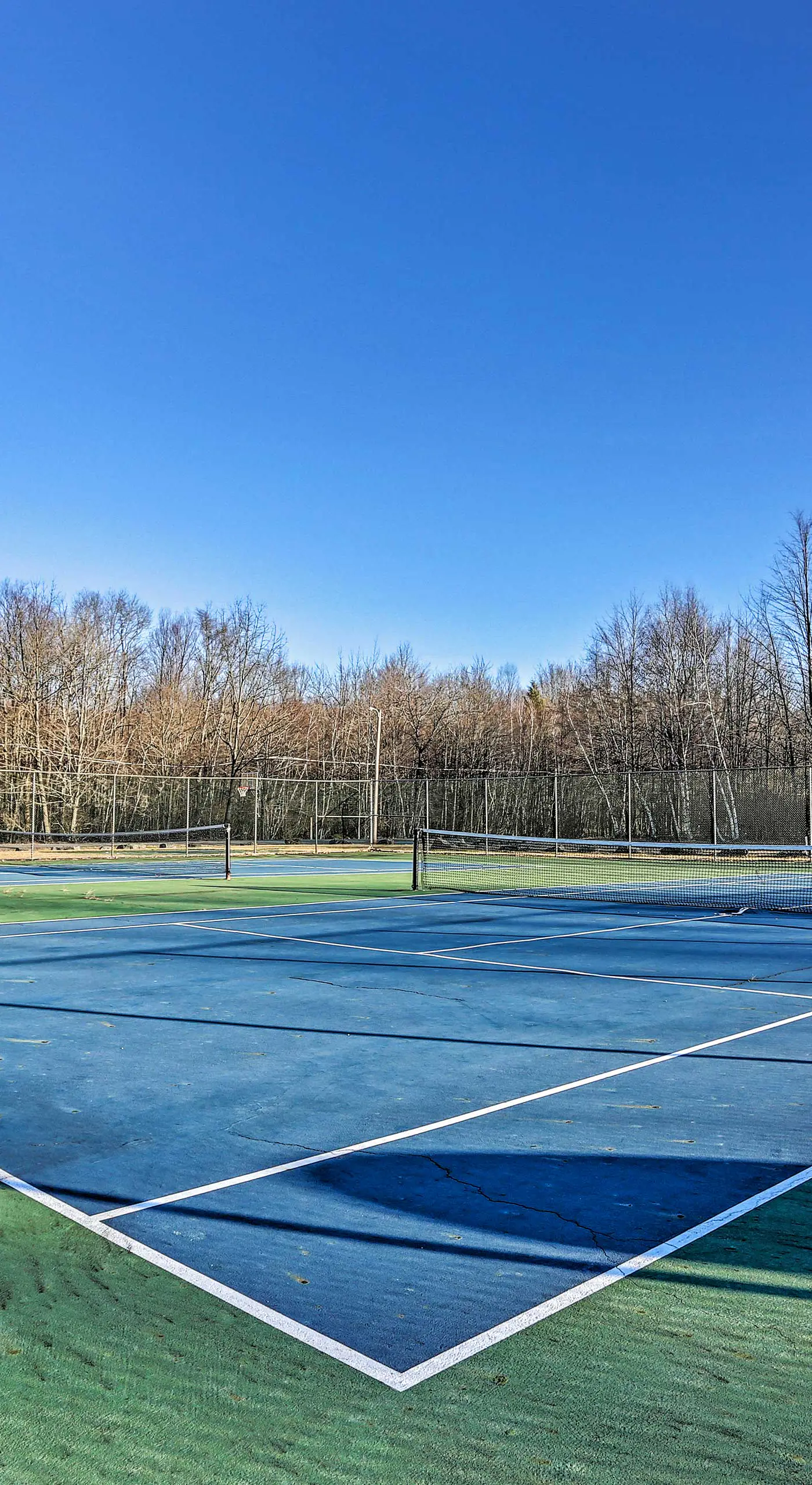 Peaceful Wooded Retreat at Lake Wallenpaupack!