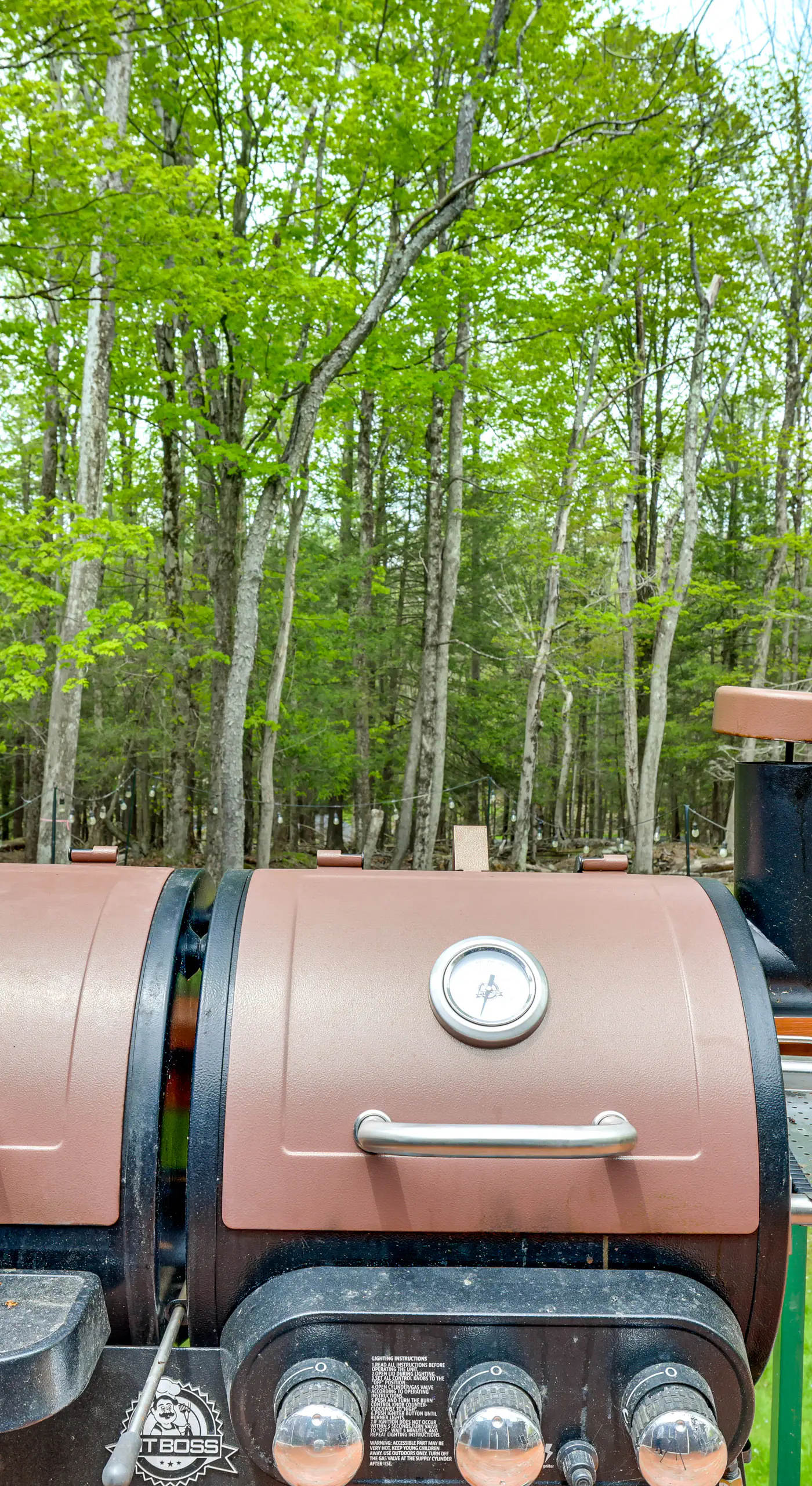 Peaceful Wooded Retreat at Lake Wallenpaupack!