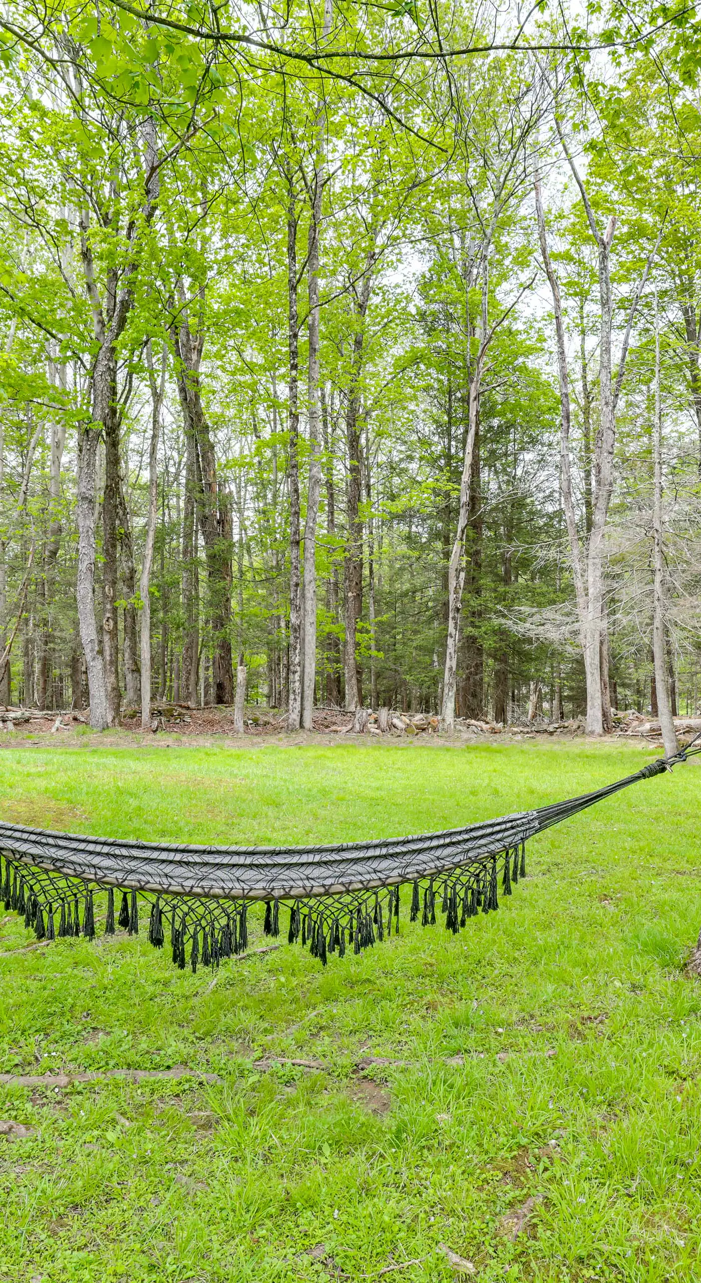 Peaceful Wooded Retreat at Lake Wallenpaupack!
