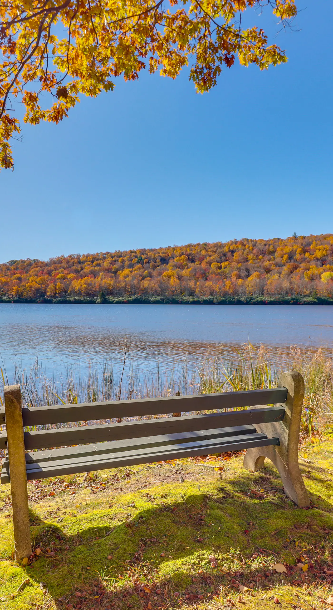 Game Room & BBQ: Waterfront Lake Harmony Condo!