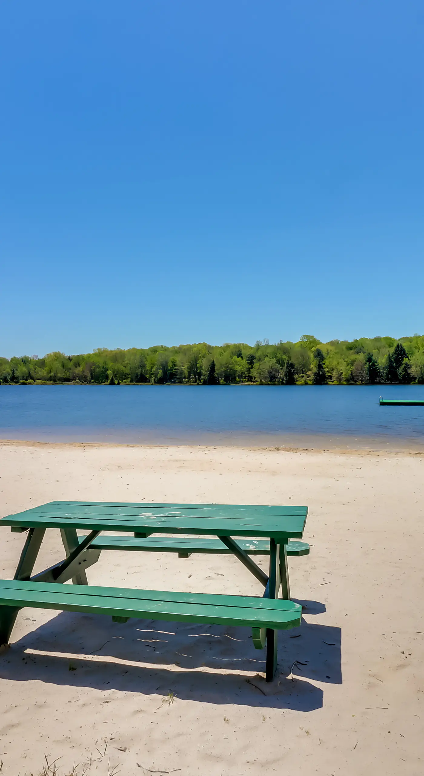 Fire Pit, Gas Grill: Pet-Friendly Blakeslee Home!