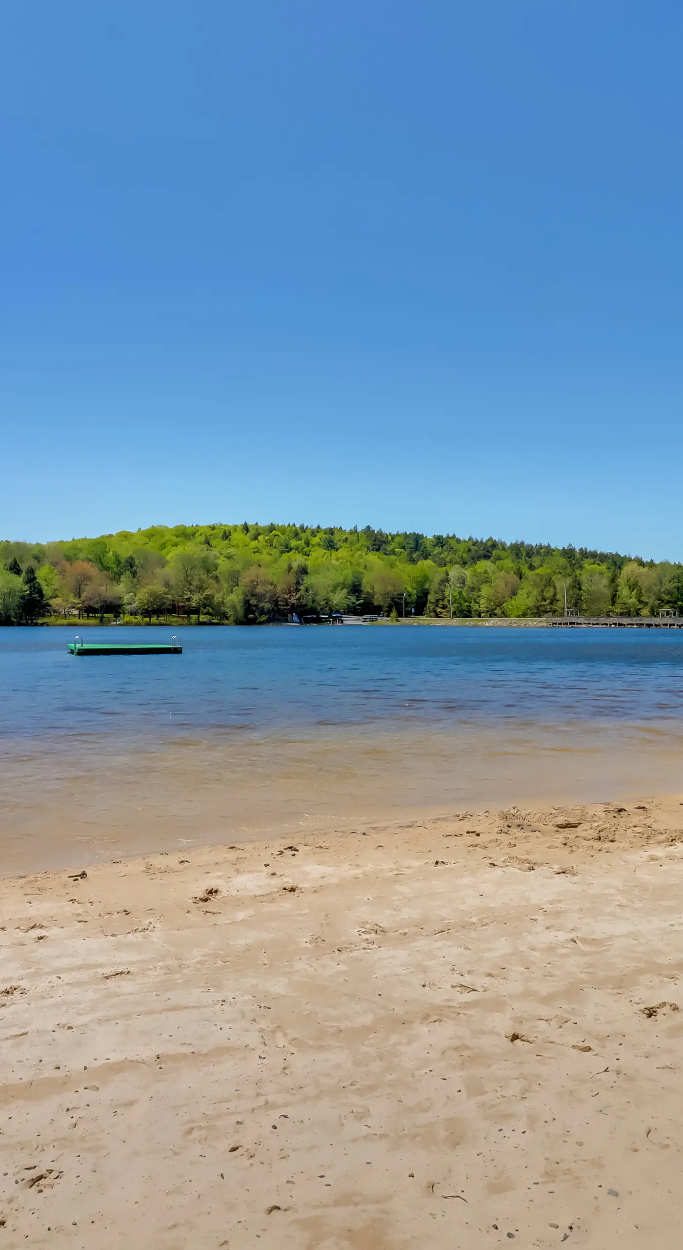 Fire Pit, Gas Grill: Pet-Friendly Blakeslee Home!