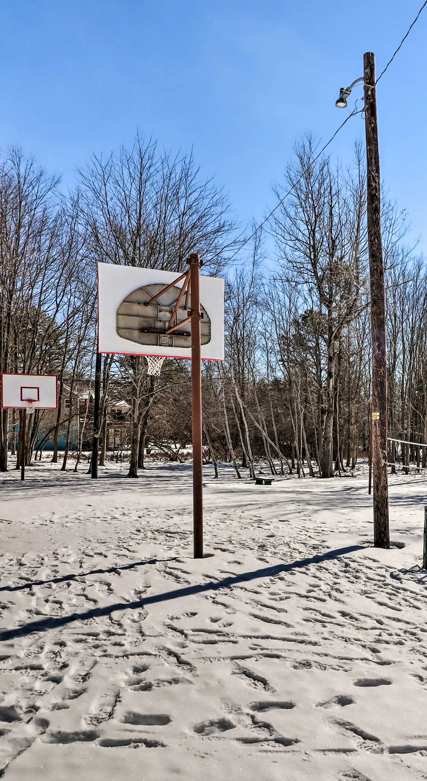 Fire Pit, Gas Grill: Pet-Friendly Blakeslee Home!