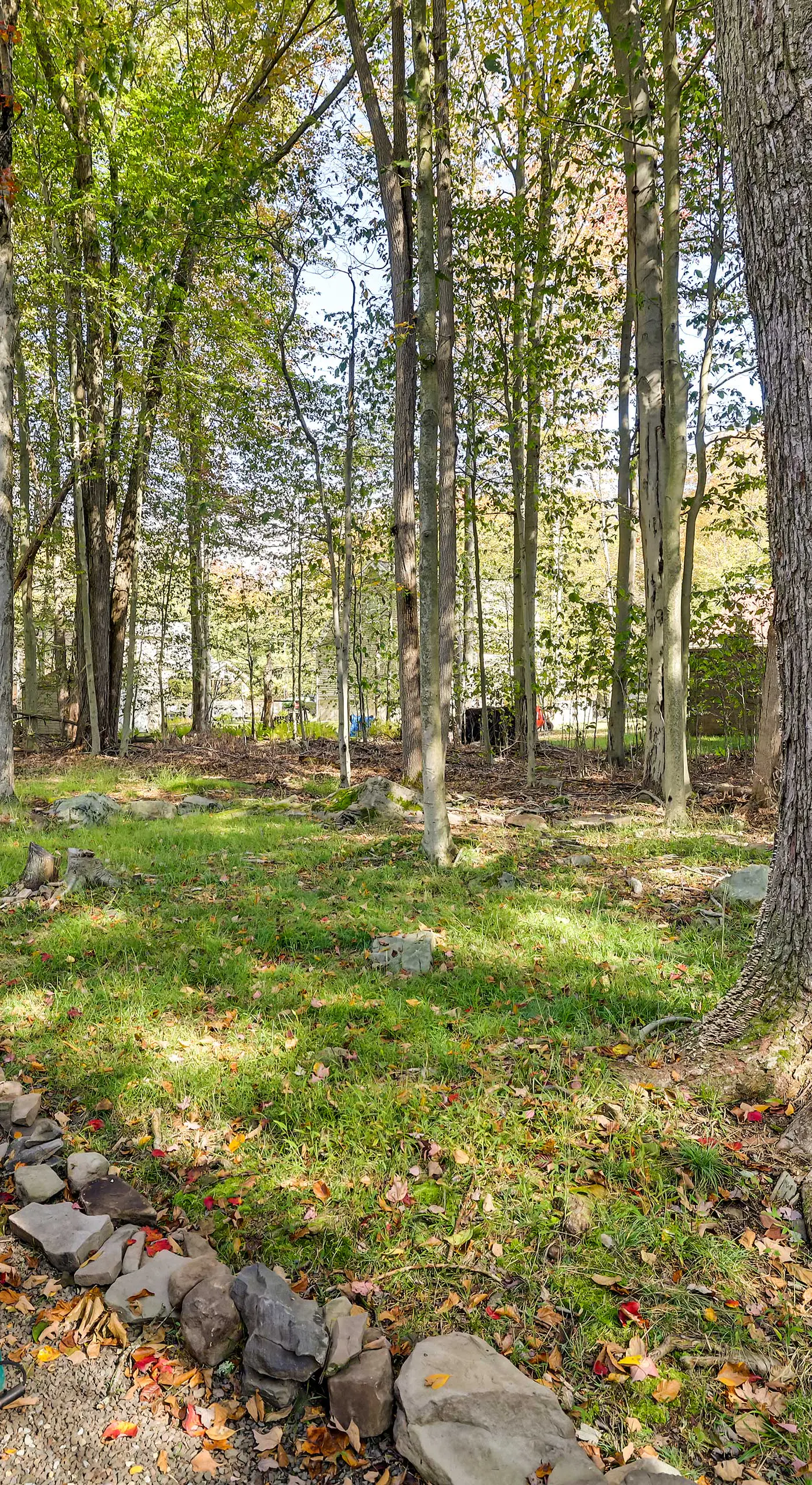 Hike, Swim, Ski & More: Home in Arrowhead Lakes!
