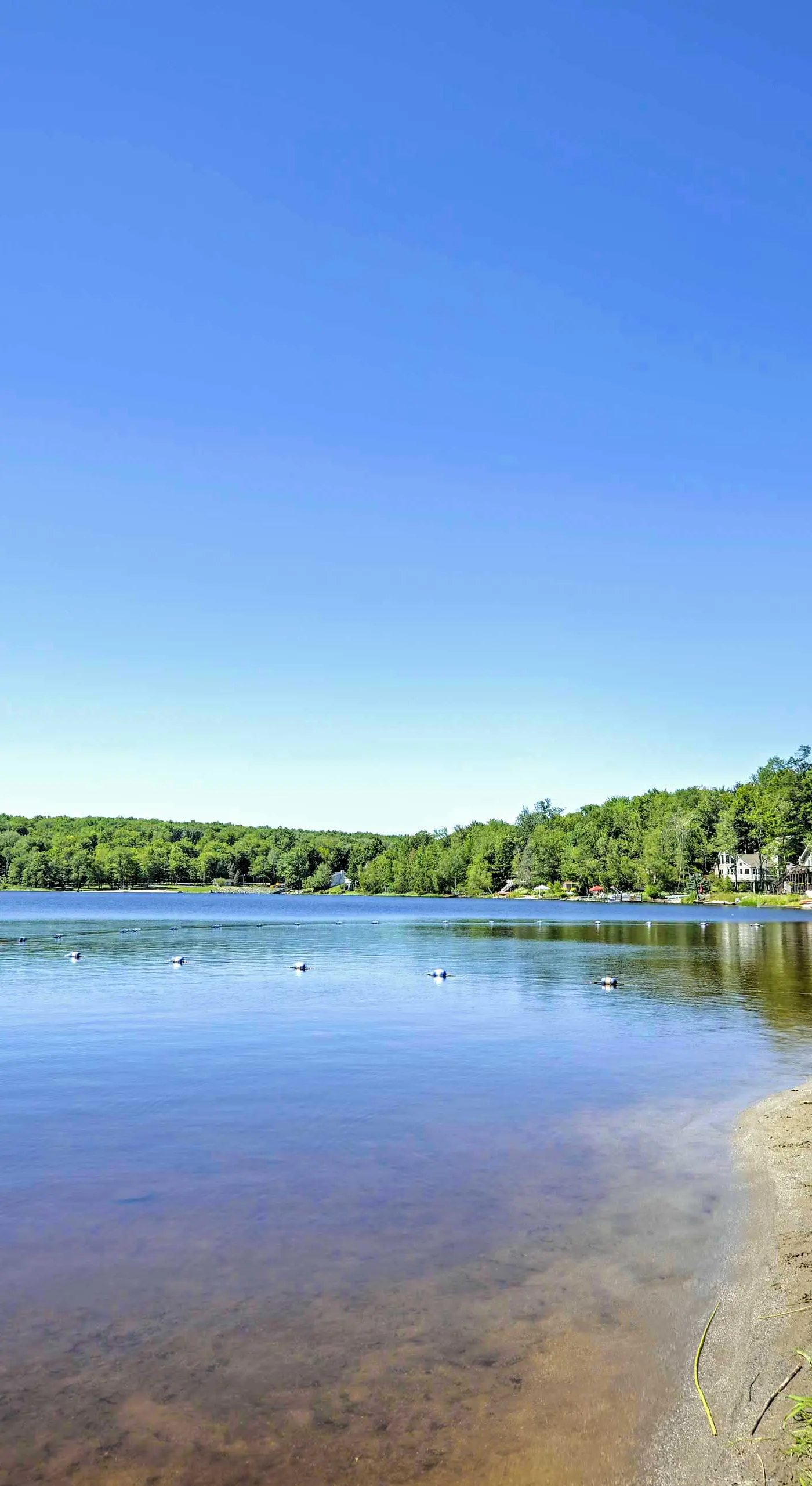Hike, Swim, Ski & More: Home in Arrowhead Lakes!