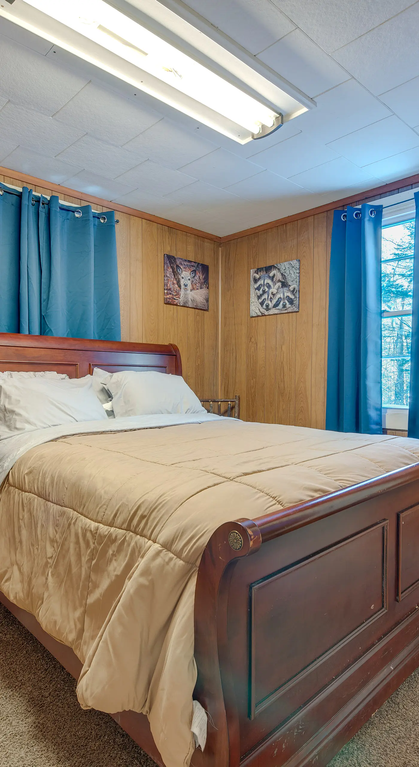 Explore the Poconos! Cozy Creekside Cabin w/ Patio