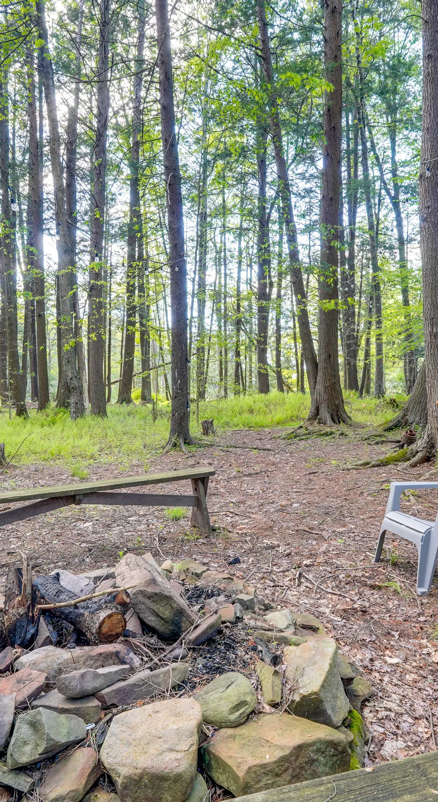 Explore the Poconos! Cozy Creekside Cabin w/ Patio