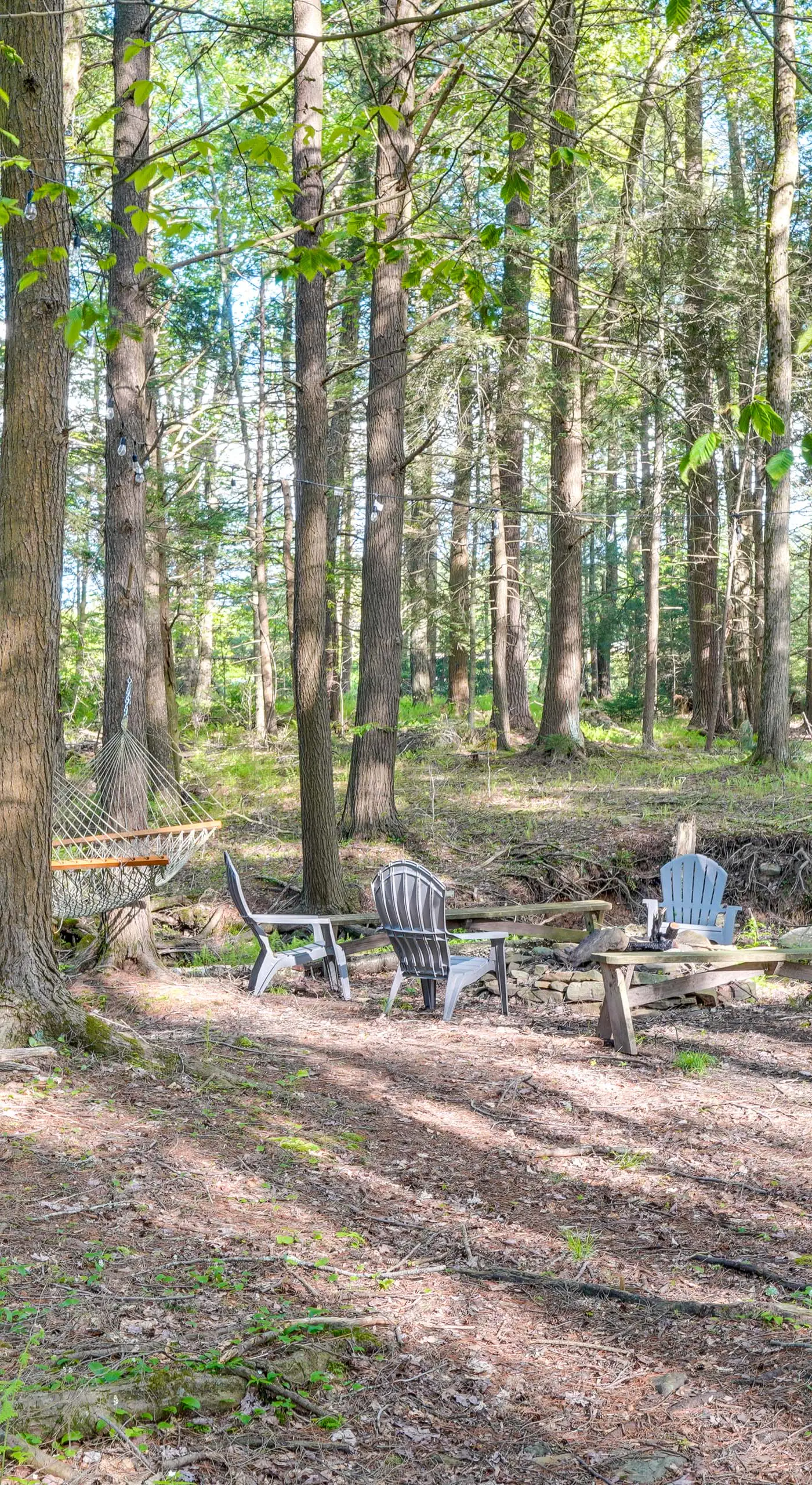 Explore the Poconos! Cozy Creekside Cabin w/ Patio