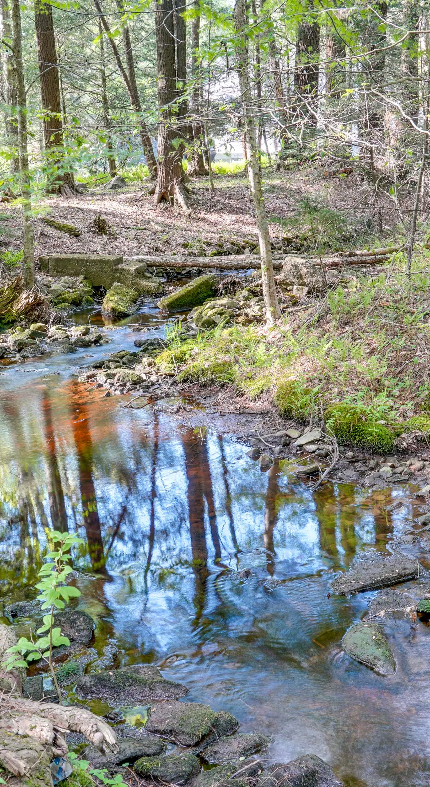 Explore the Poconos! Cozy Creekside Cabin w/ Patio