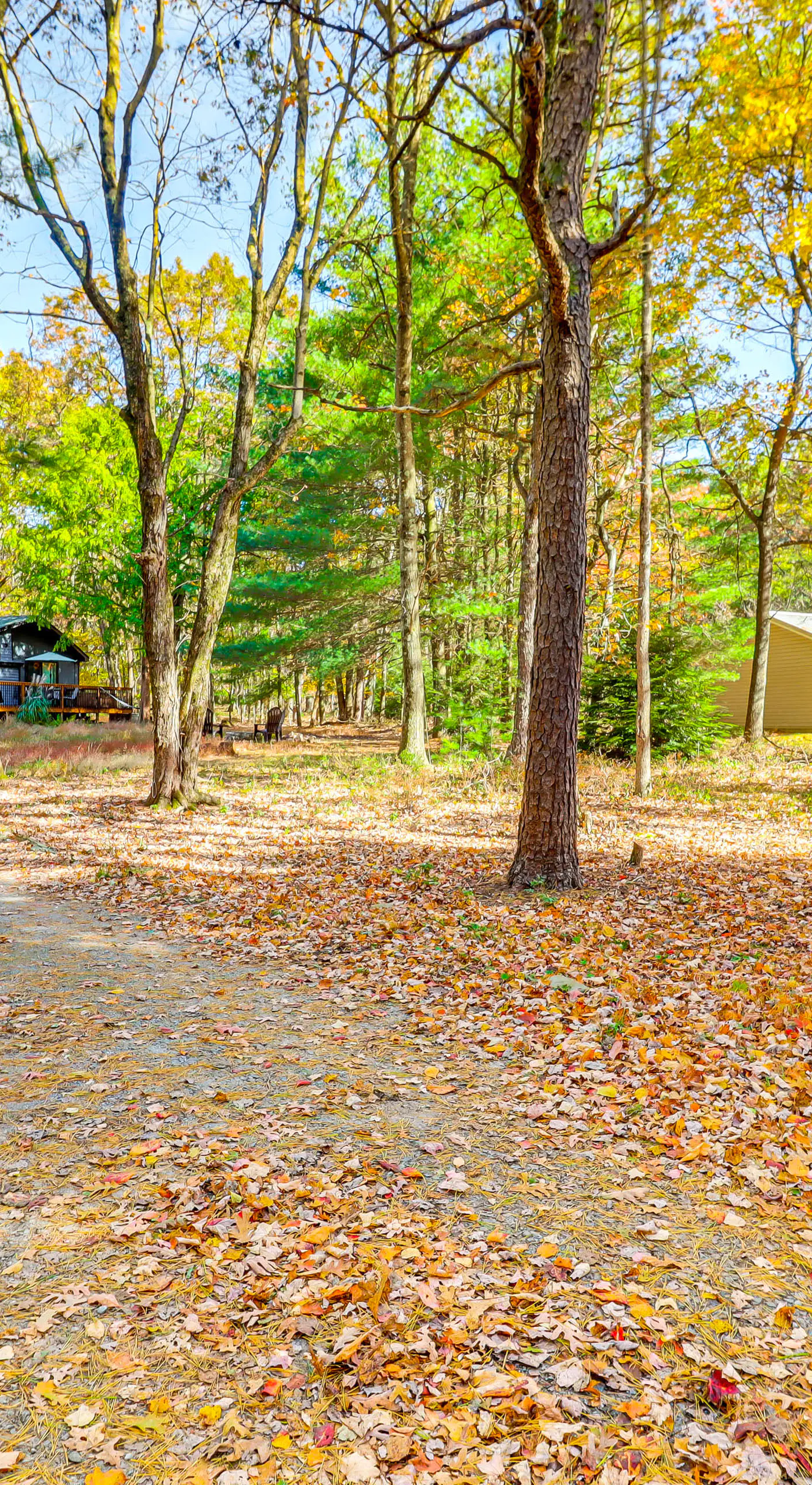 Peaceful Pocono Gem! Cabin 6 Mi to Dtwn Jim Thorpe