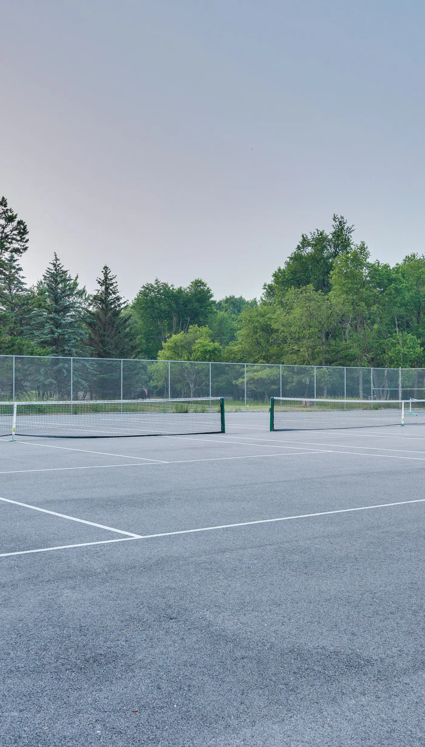 Forest Views & Hot Tub: Poconos Cozy Cabin