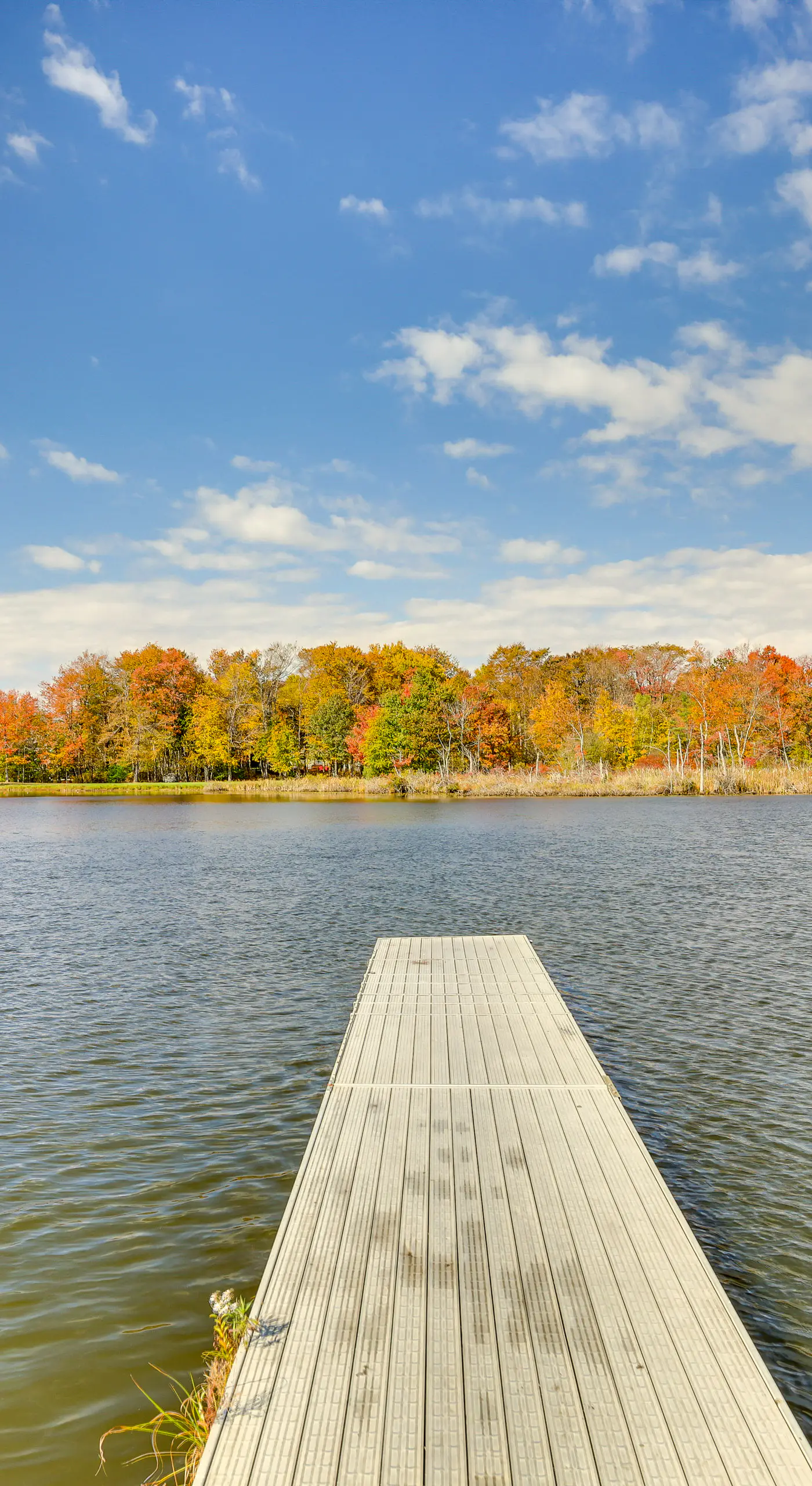 Near Water Parks: Pet-Friendly Tobyhanna Getaway!