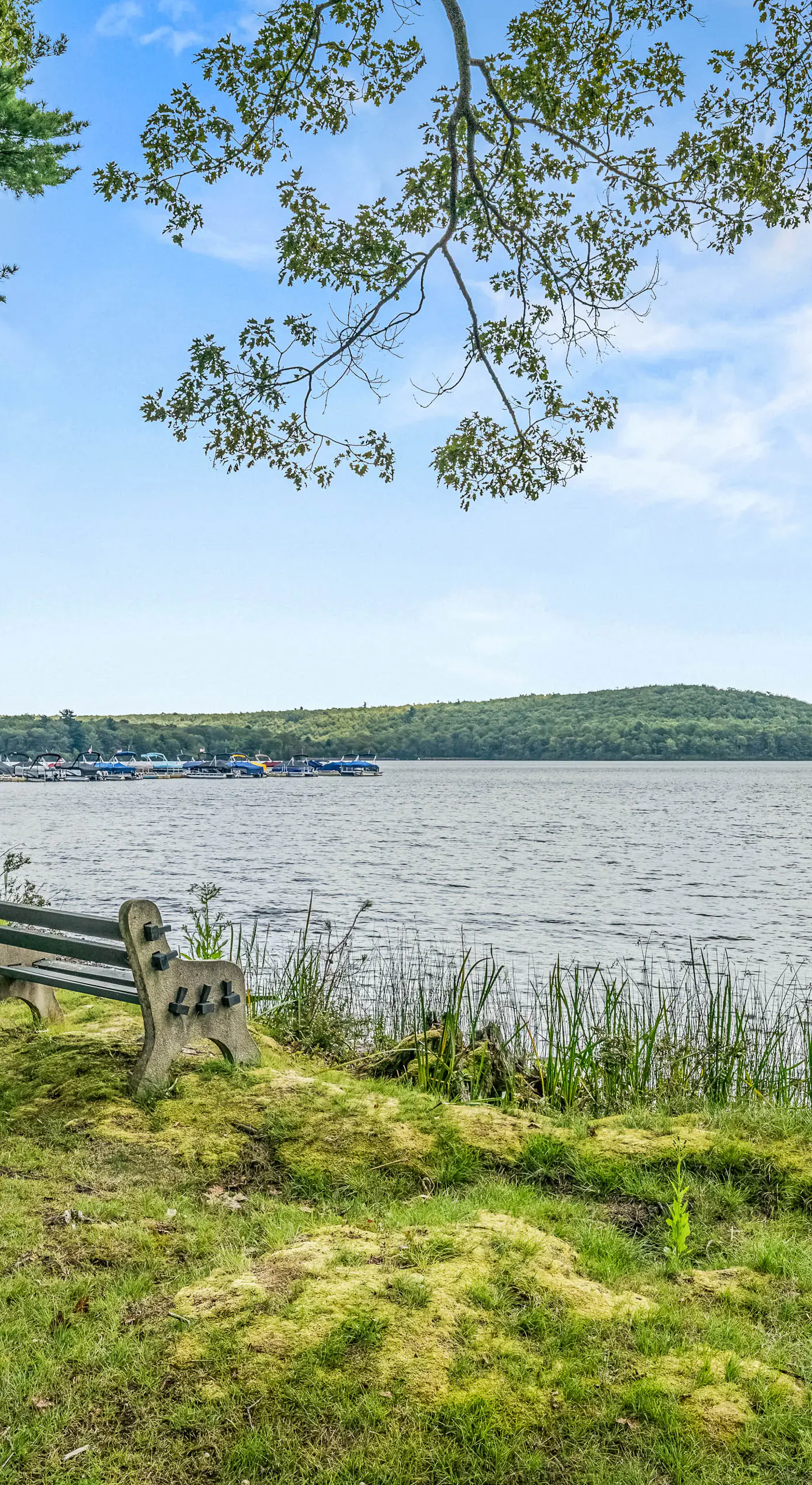 Epic Views & Pool Access! Gem on Big Boulder Lake
