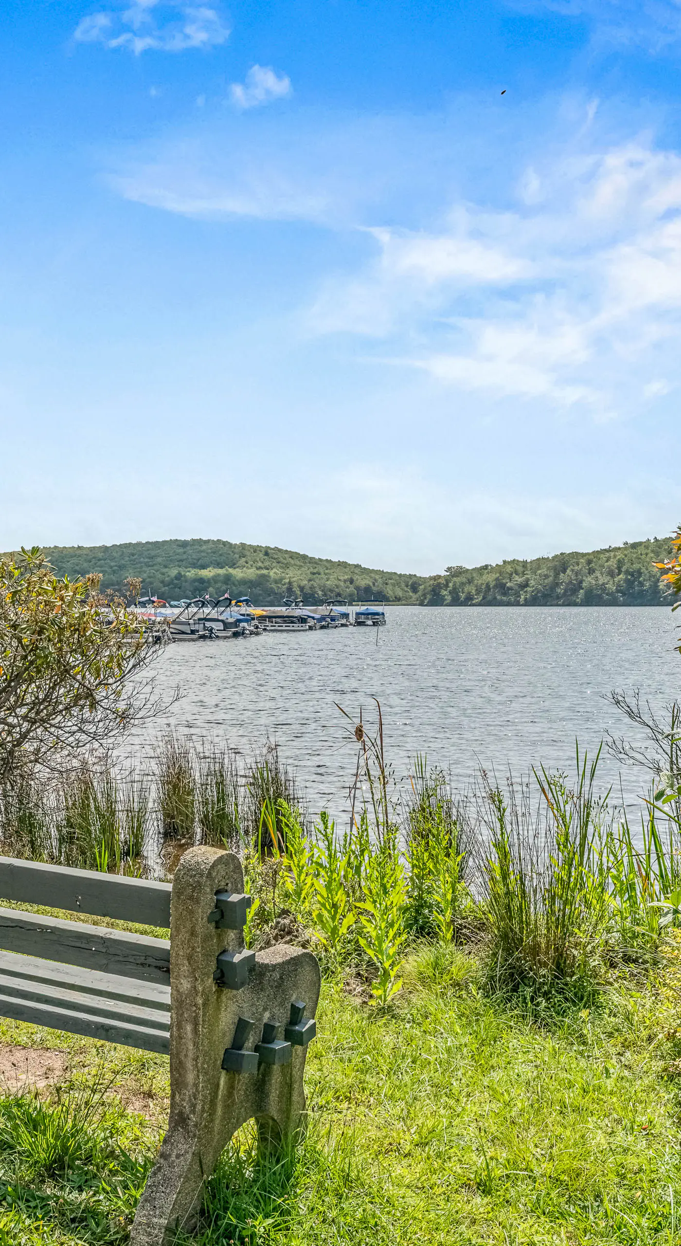 Epic Views & Pool Access! Gem on Big Boulder Lake