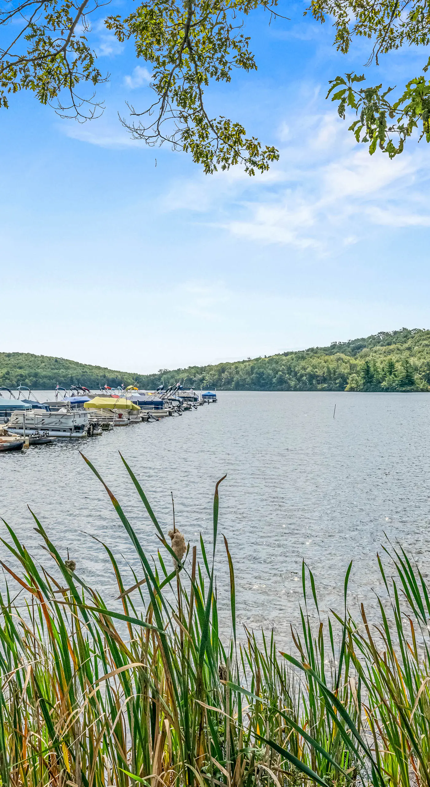 Epic Views & Pool Access! Gem on Big Boulder Lake