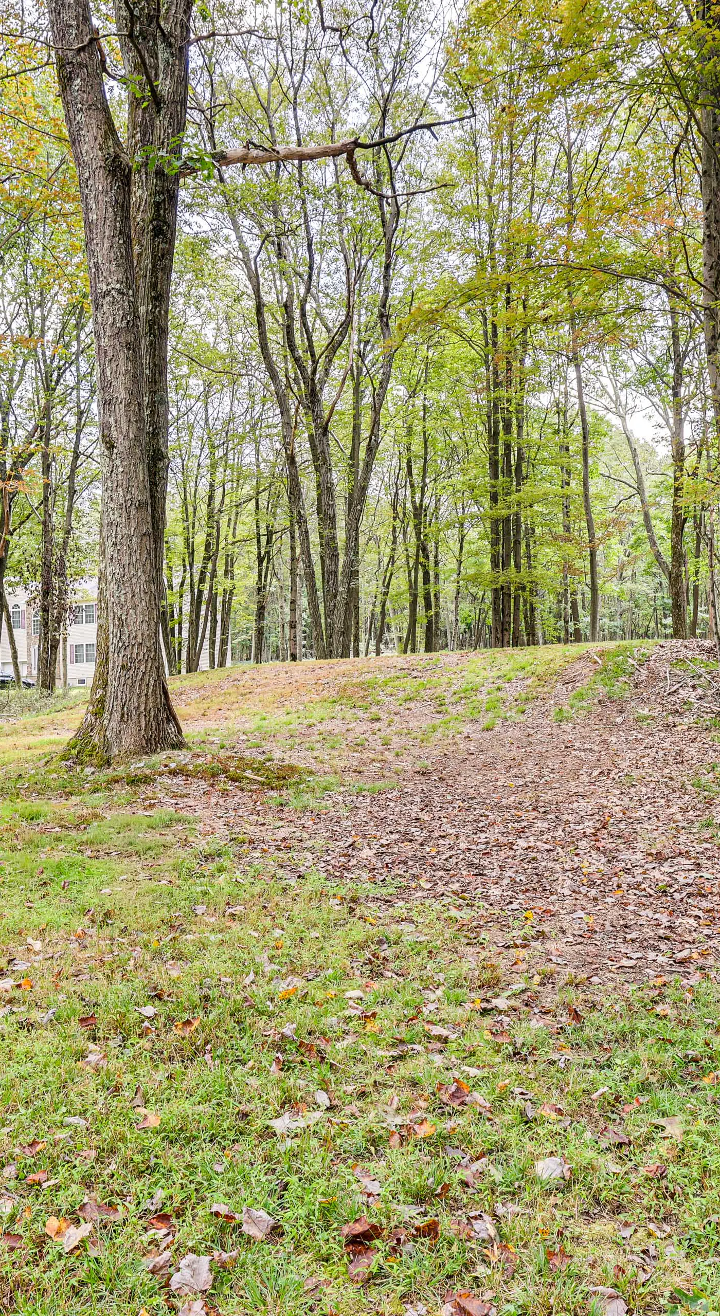 Long Pond Log Cabin w/ Hot Tub Soaks & Outdoor Fun