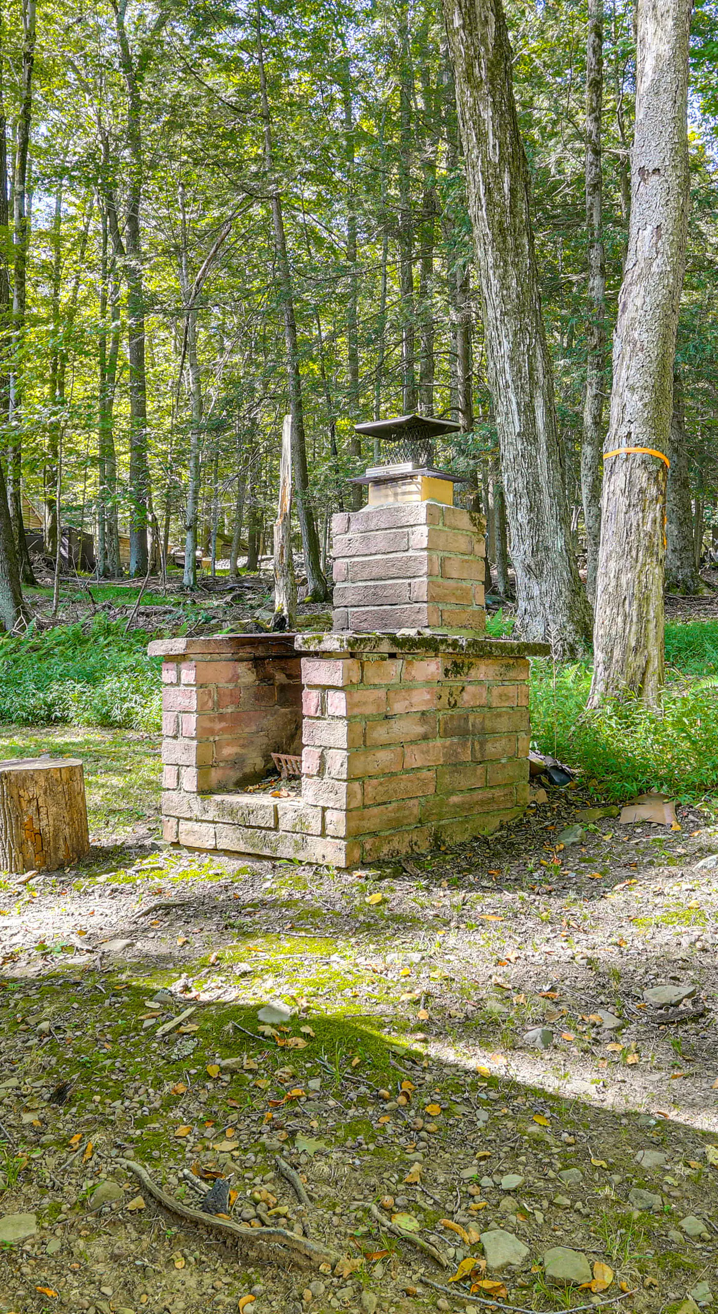Boat, Hike & Fish: Rustic Greenwood Retreat