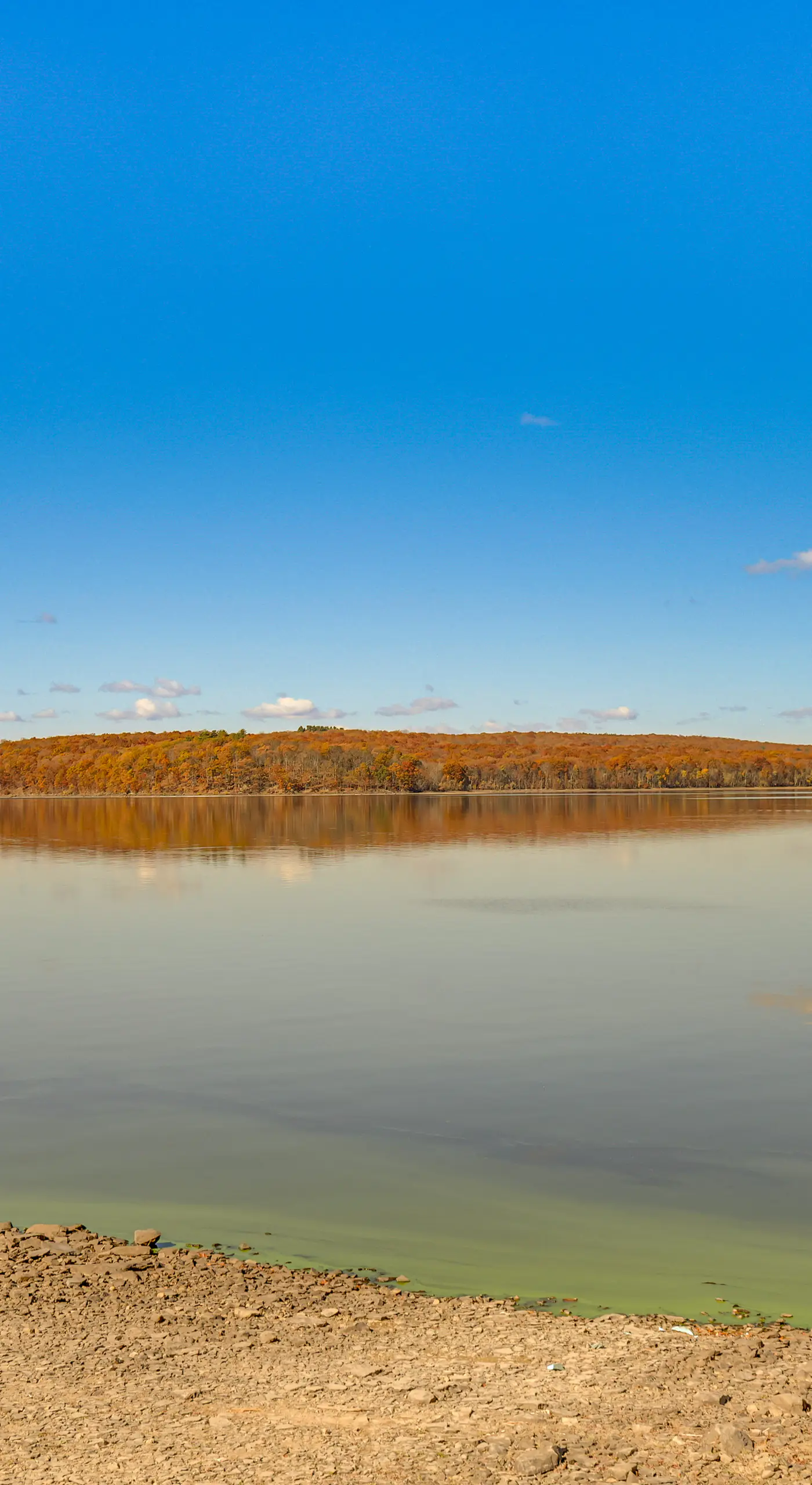 Steps to Lake Tanglwood: Tranquil Wooded Retreat