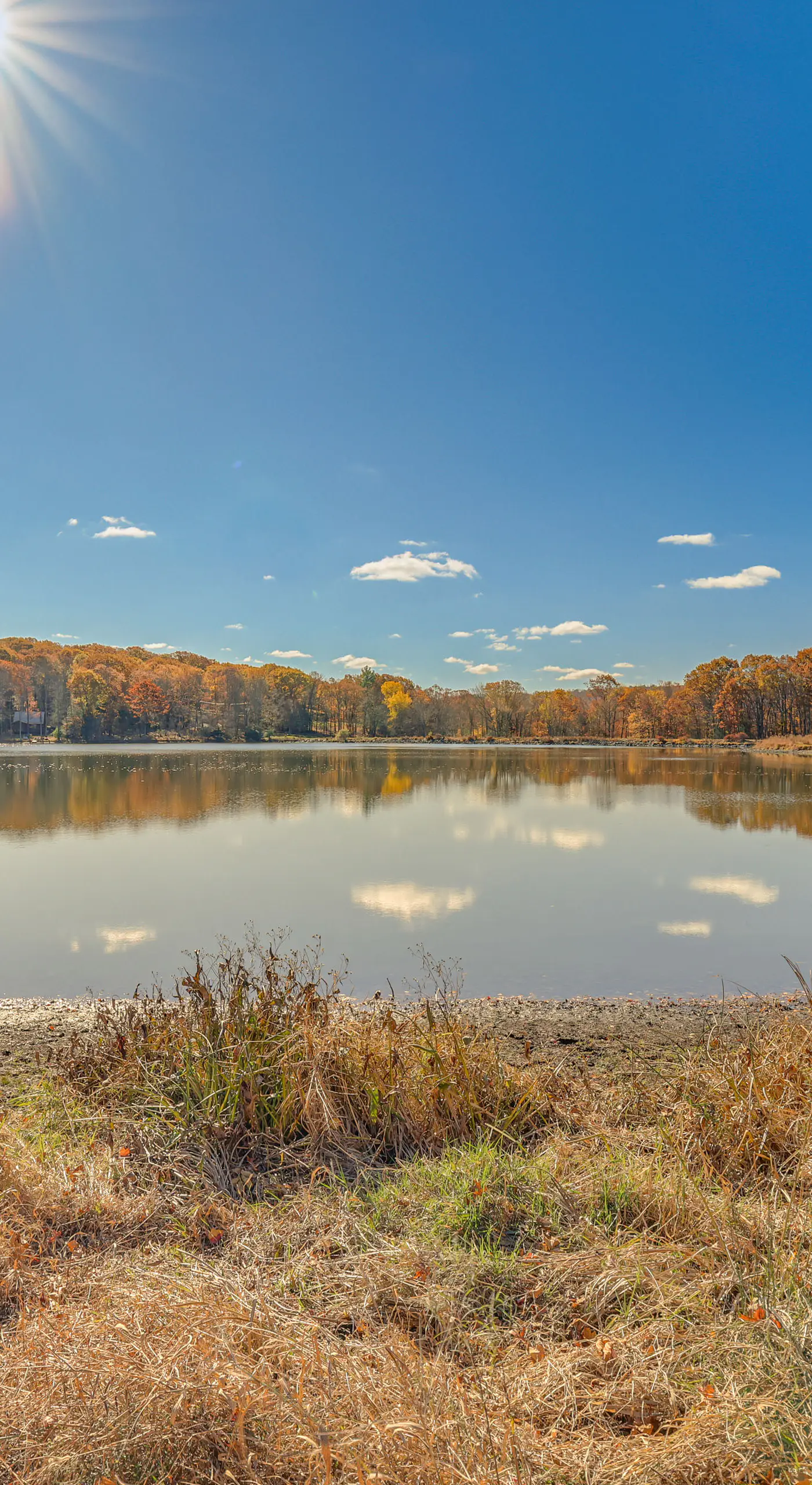 Steps to Lake Tanglwood: Tranquil Wooded Retreat