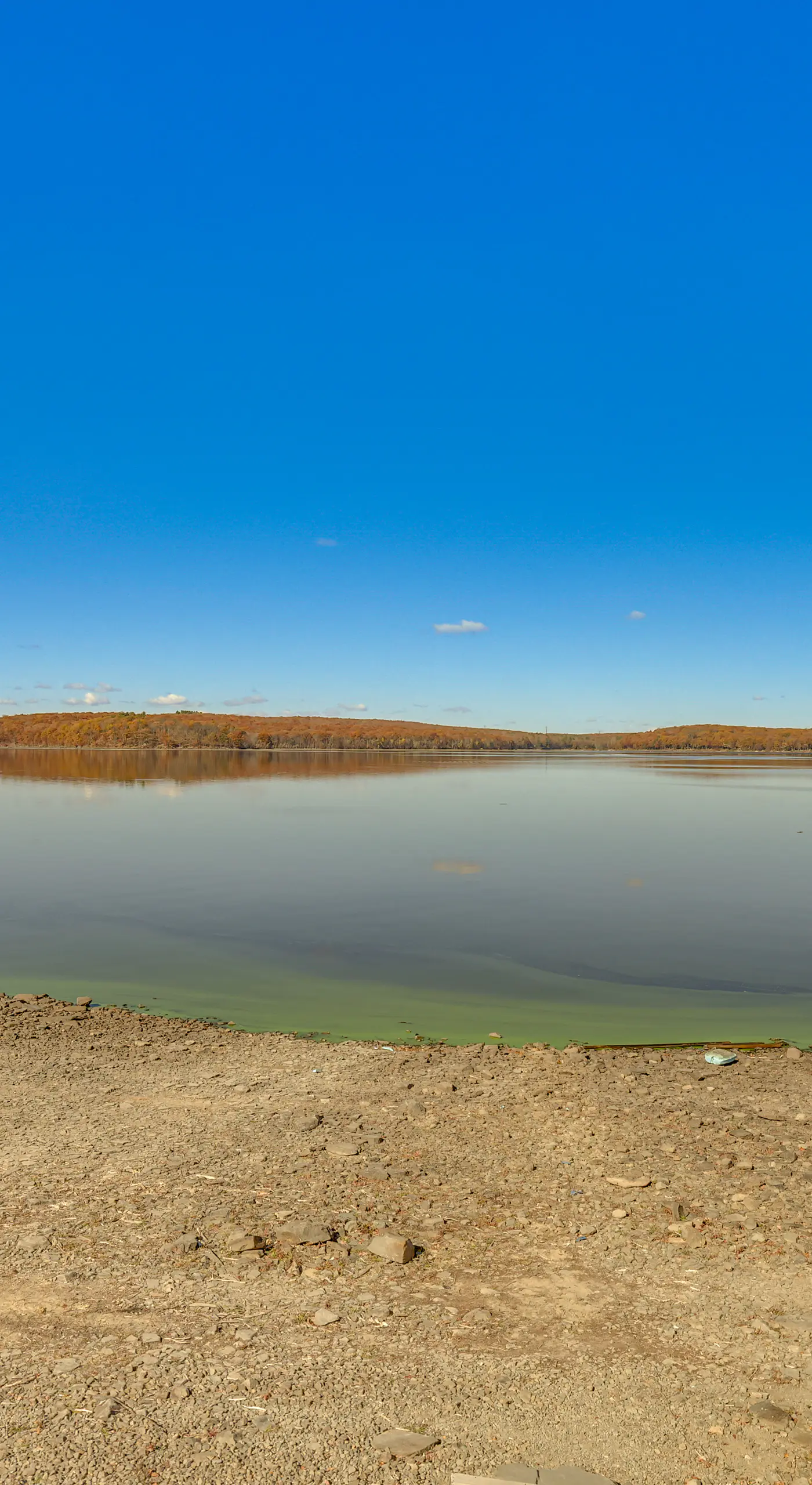 Steps to Lake Tanglwood: Tranquil Wooded Retreat