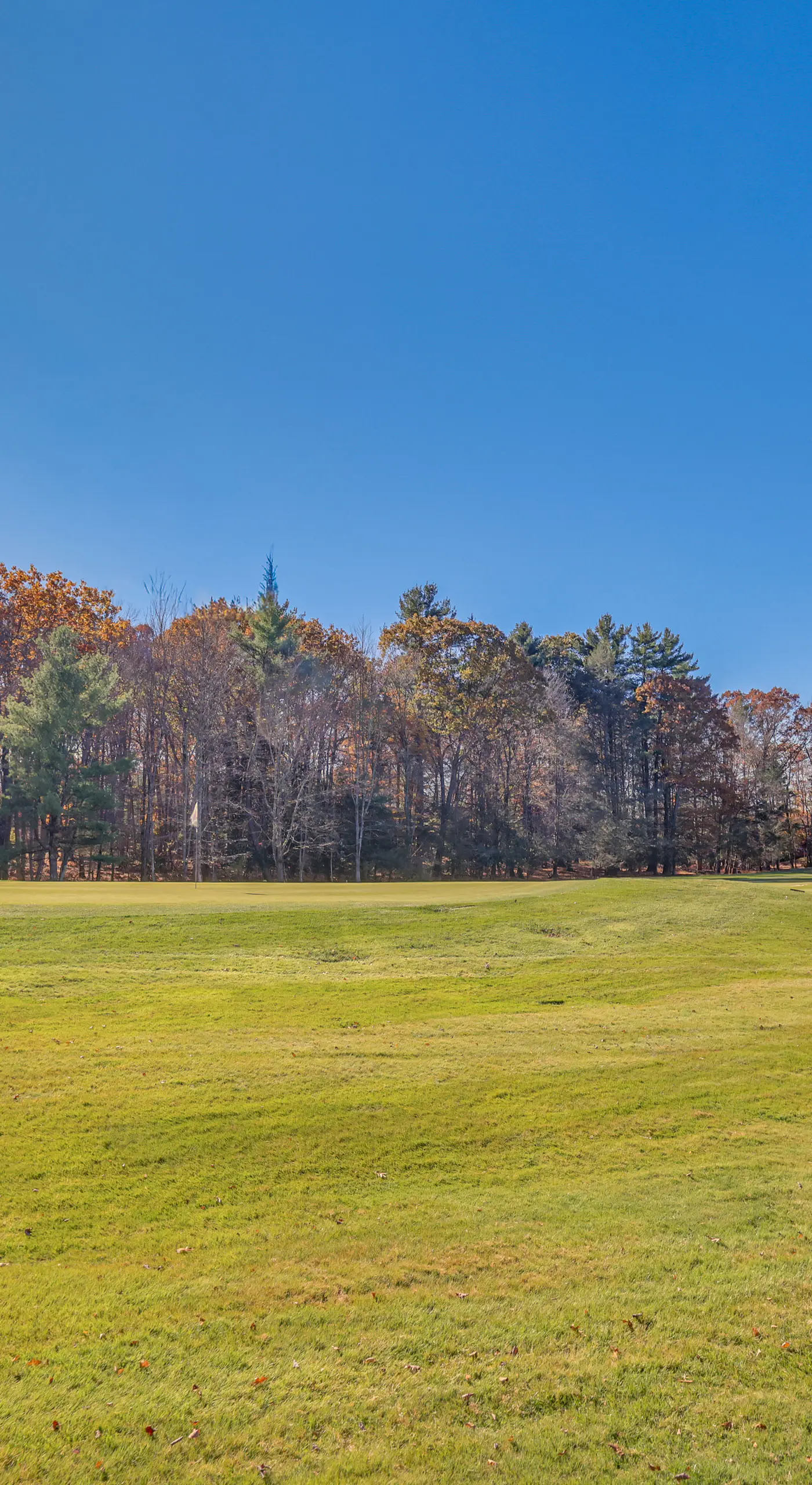 Steps to Lake Tanglwood: Tranquil Wooded Retreat